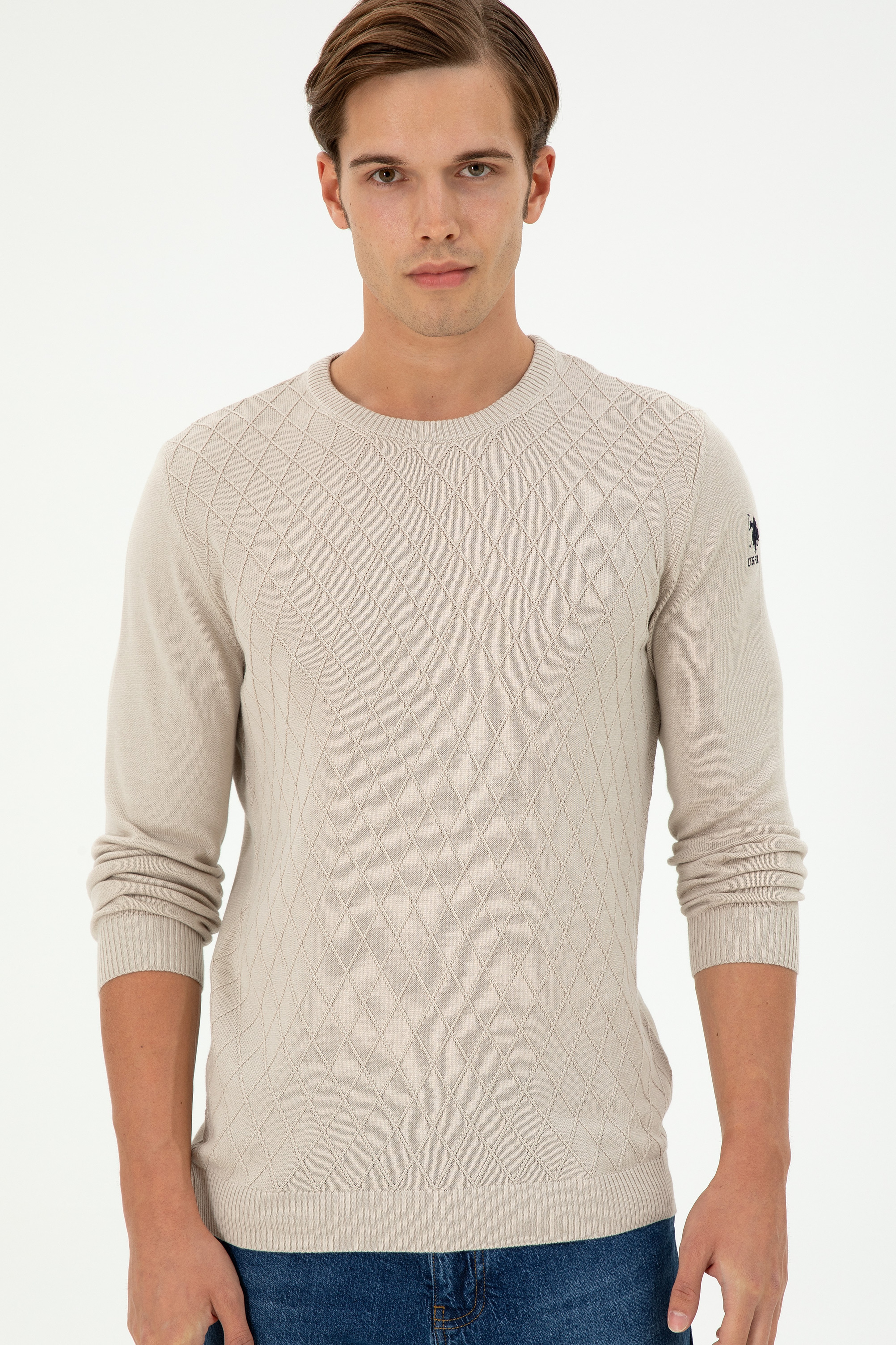 Erkek Slim Fit Bisiklet Yaka Taş Kazak