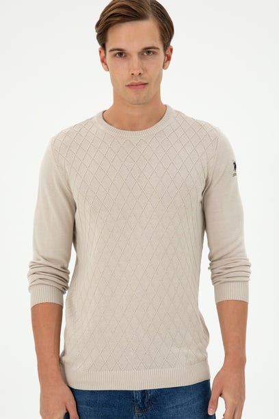 Erkek Slim Fit Bisiklet Yaka Taş Kazak