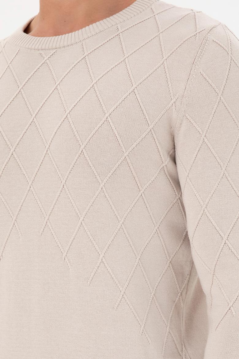 Erkek Slim Fit Bisiklet Yaka Taş Kazak - 50292863028