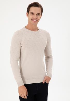 Erkek Slim Fit Bisiklet Yaka Taş Kazak - 50292863028
