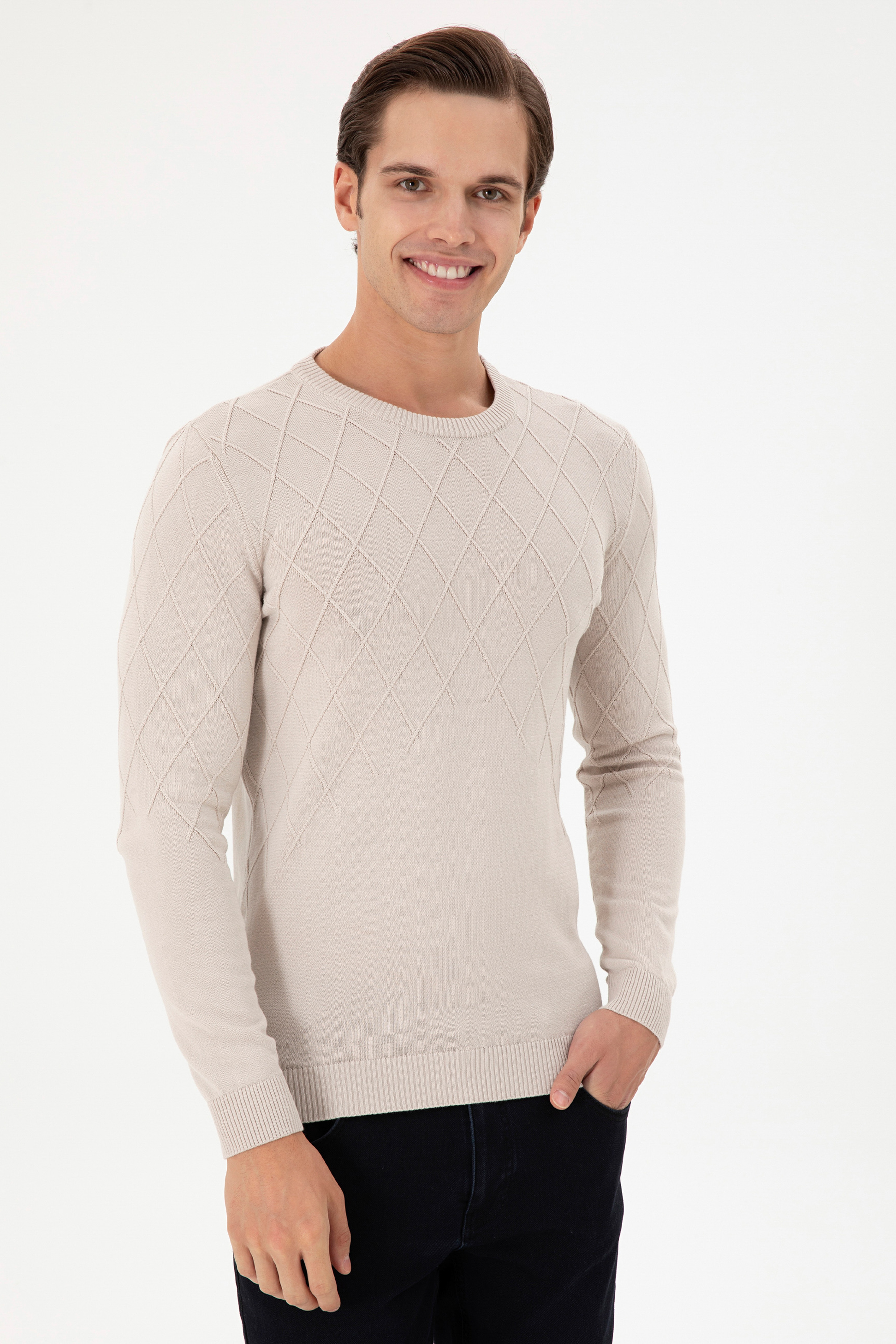 Erkek Slim Fit Bisiklet Yaka Taş Kazak