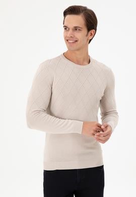 Erkek Slim Fit Bisiklet Yaka Taş Kazak - 50292863028