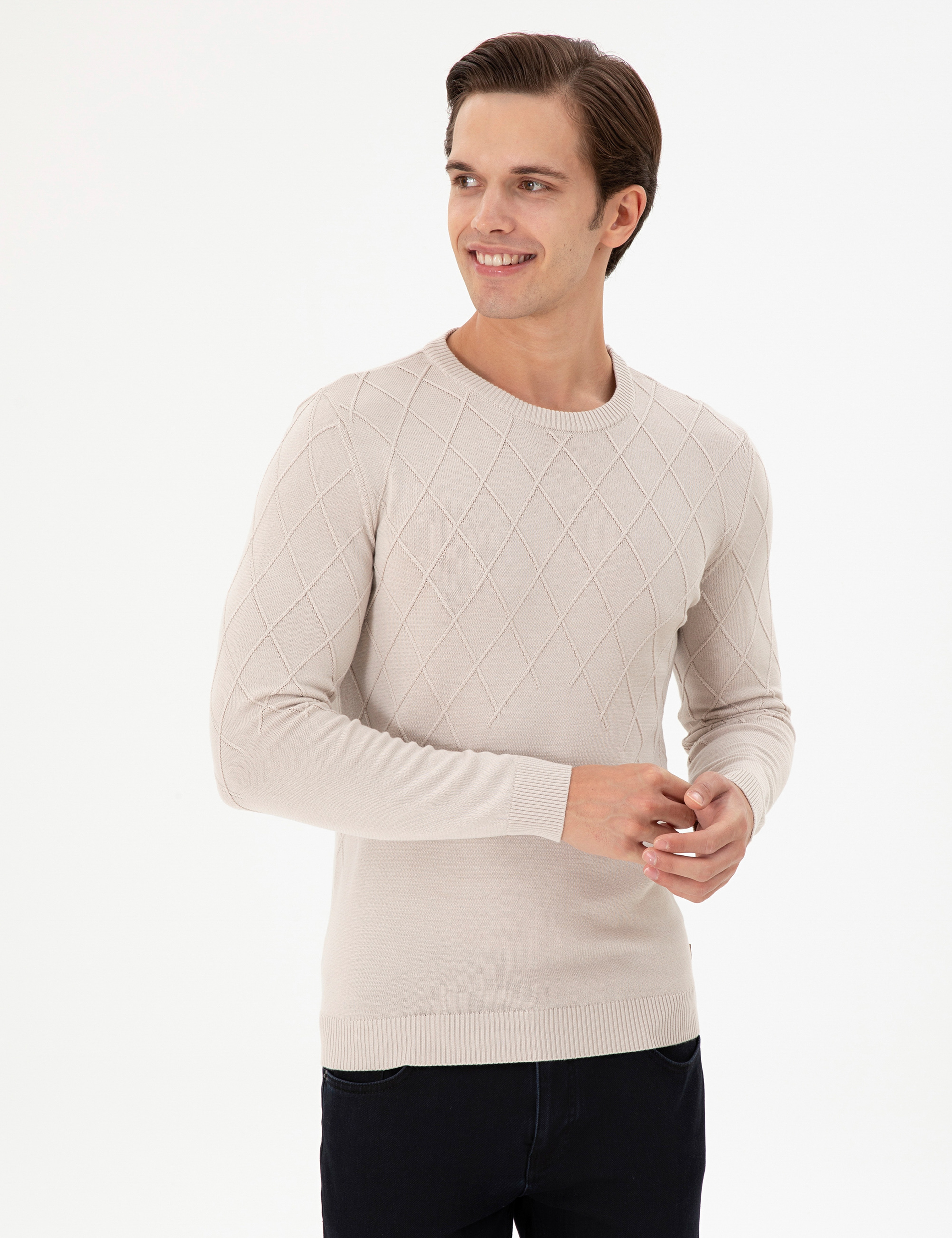 Erkek Slim Fit Bisiklet Yaka Taş Kazak - Image 1