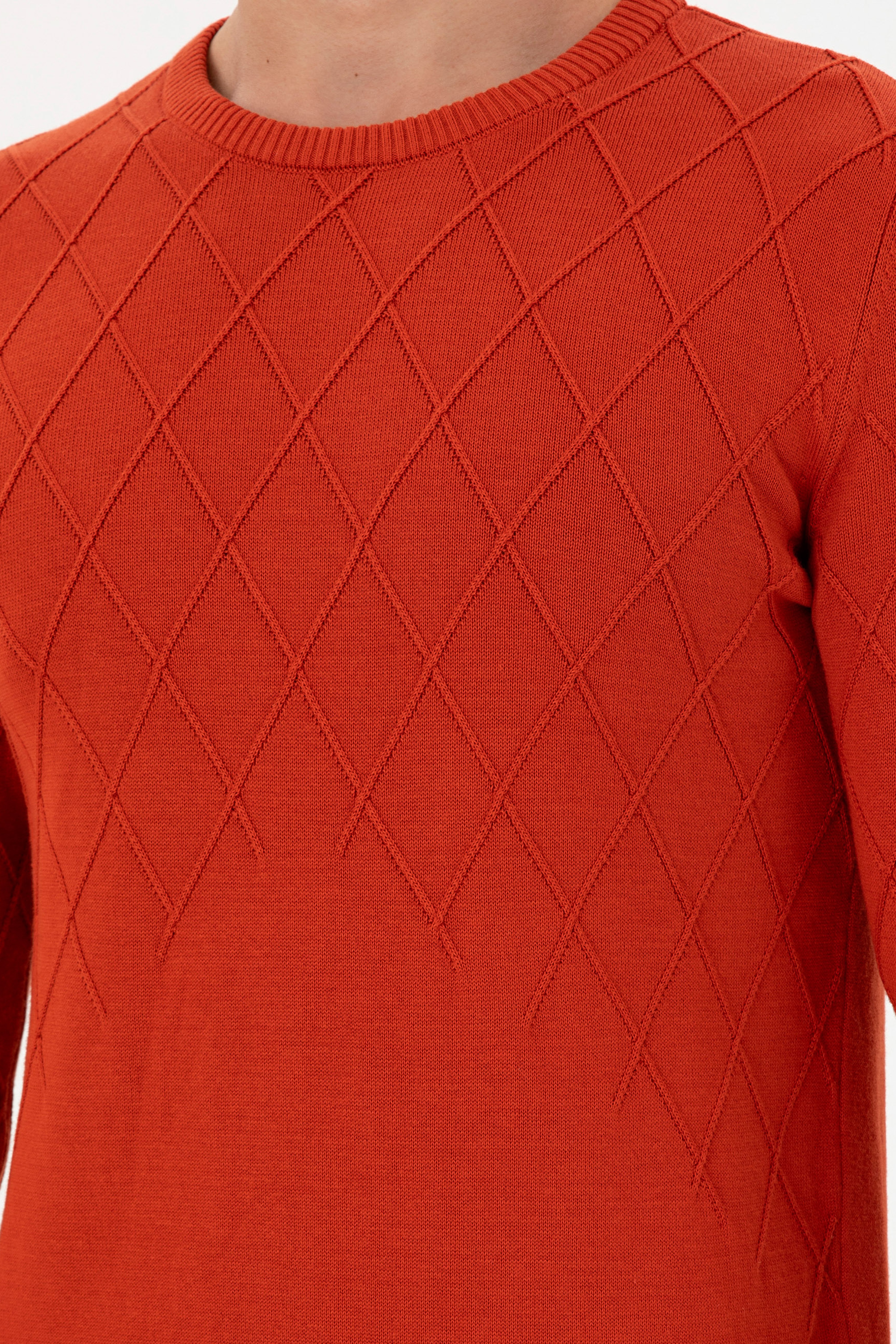 Erkek Slim Fit Bisiklet Yaka Kiremit Kazak