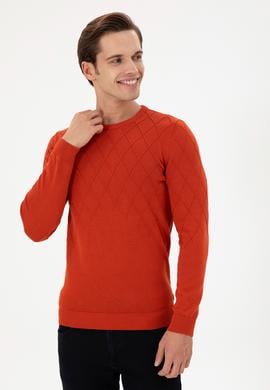 Erkek Slim Fit Bisiklet Yaka Kiremit Kazak - 50292863011