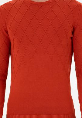 Erkek Slim Fit Bisiklet Yaka Kiremit Kazak - 50292863011