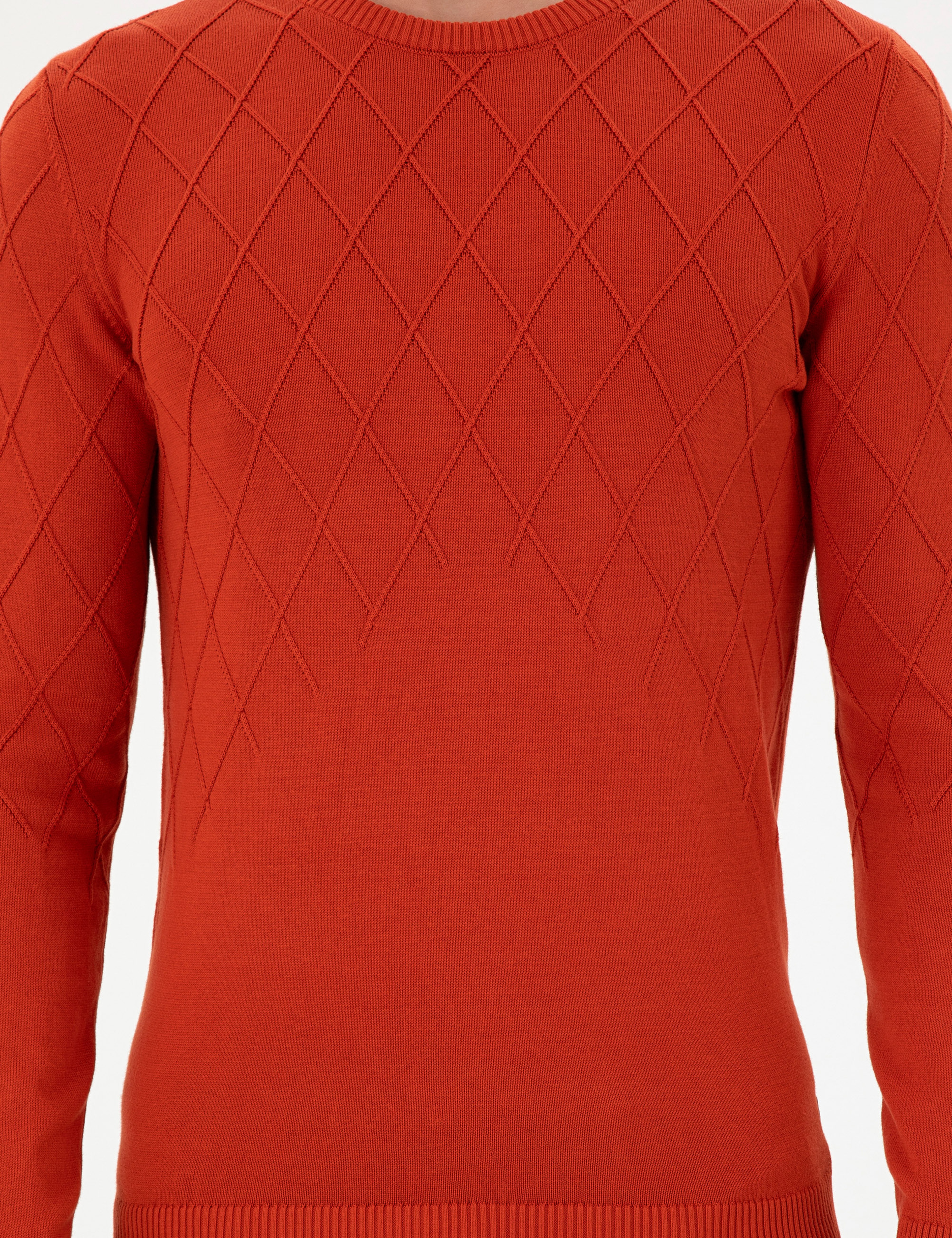 Erkek Slim Fit Bisiklet Yaka Kiremit Kazak - Image 6