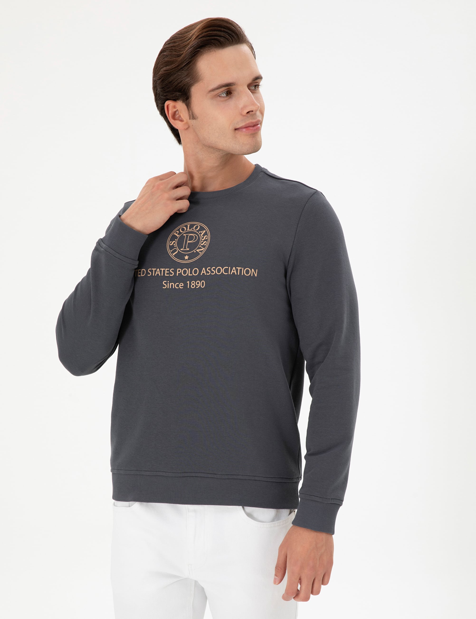 Erkek Regular Fit Bisiklet Yaka Antrasit Sweatshirt - Image 3
