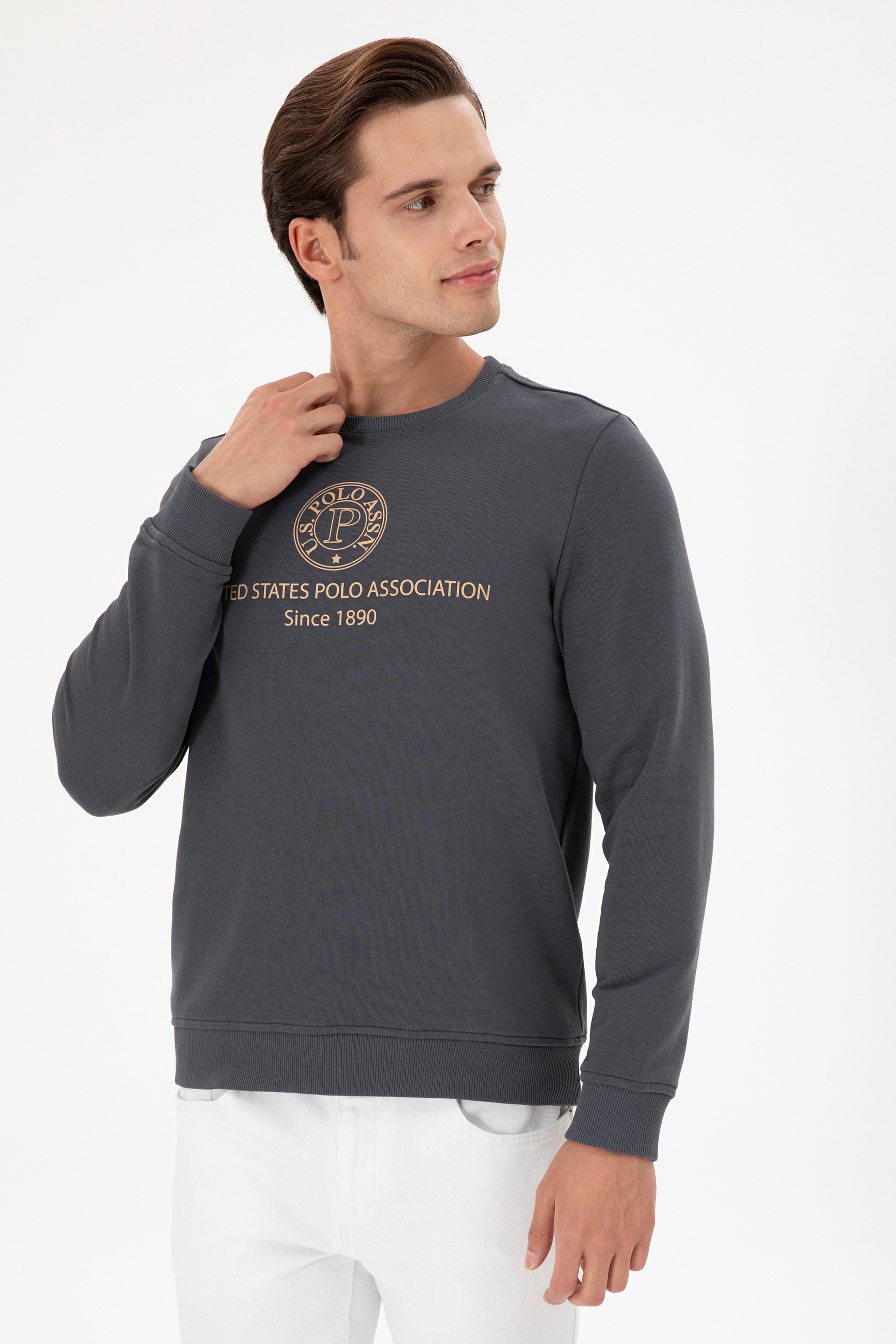 Erkek Regular Fit Bisiklet Yaka Antrasit Sweatshirt