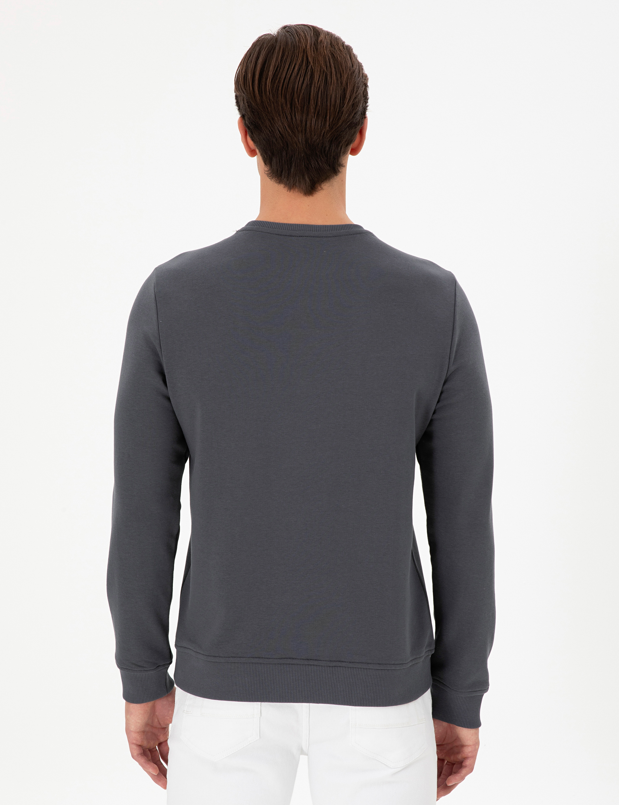 Erkek Regular Fit Bisiklet Yaka Antrasit Sweatshirt - Image 5
