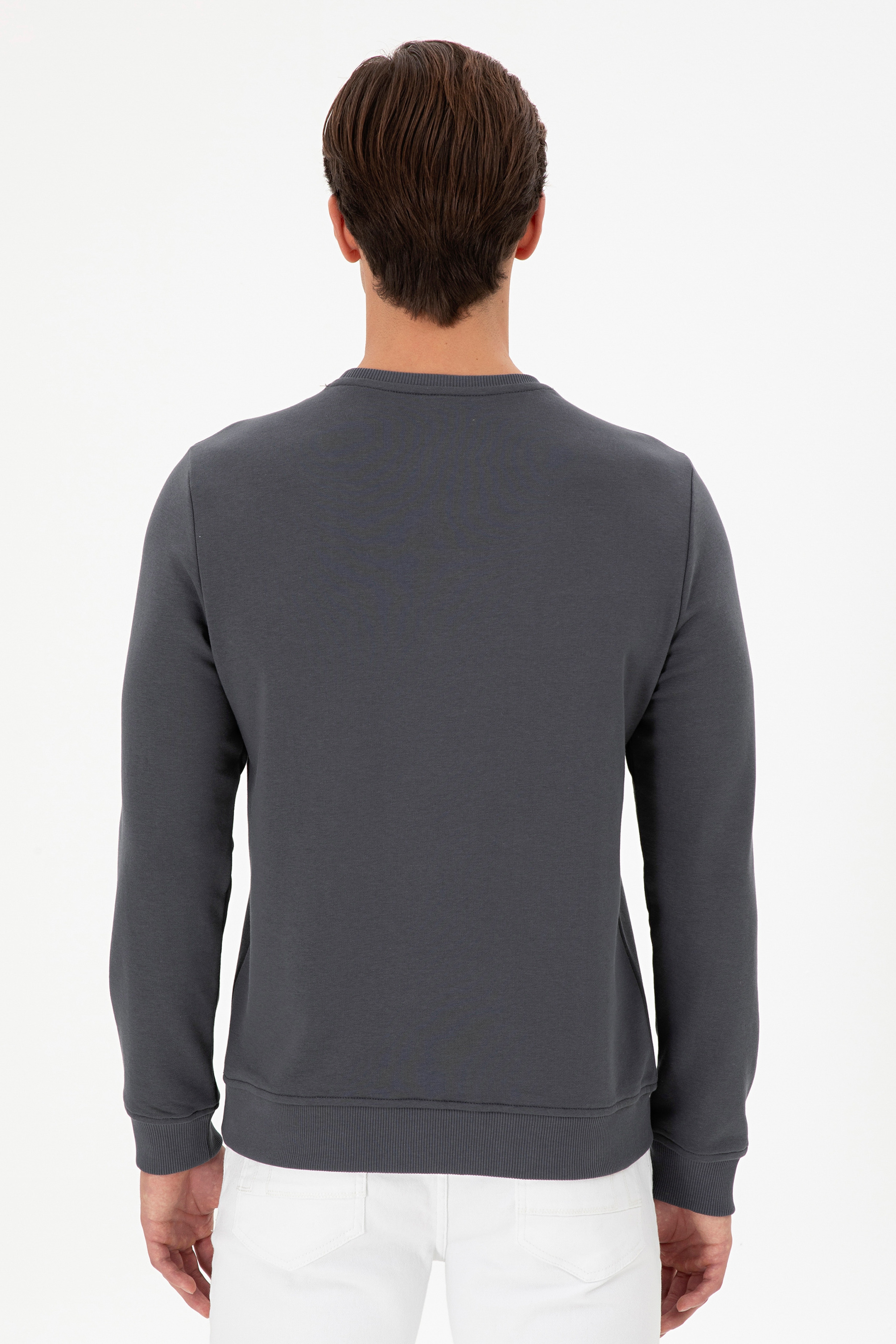 Erkek Regular Fit Bisiklet Yaka Antrasit Sweatshirt