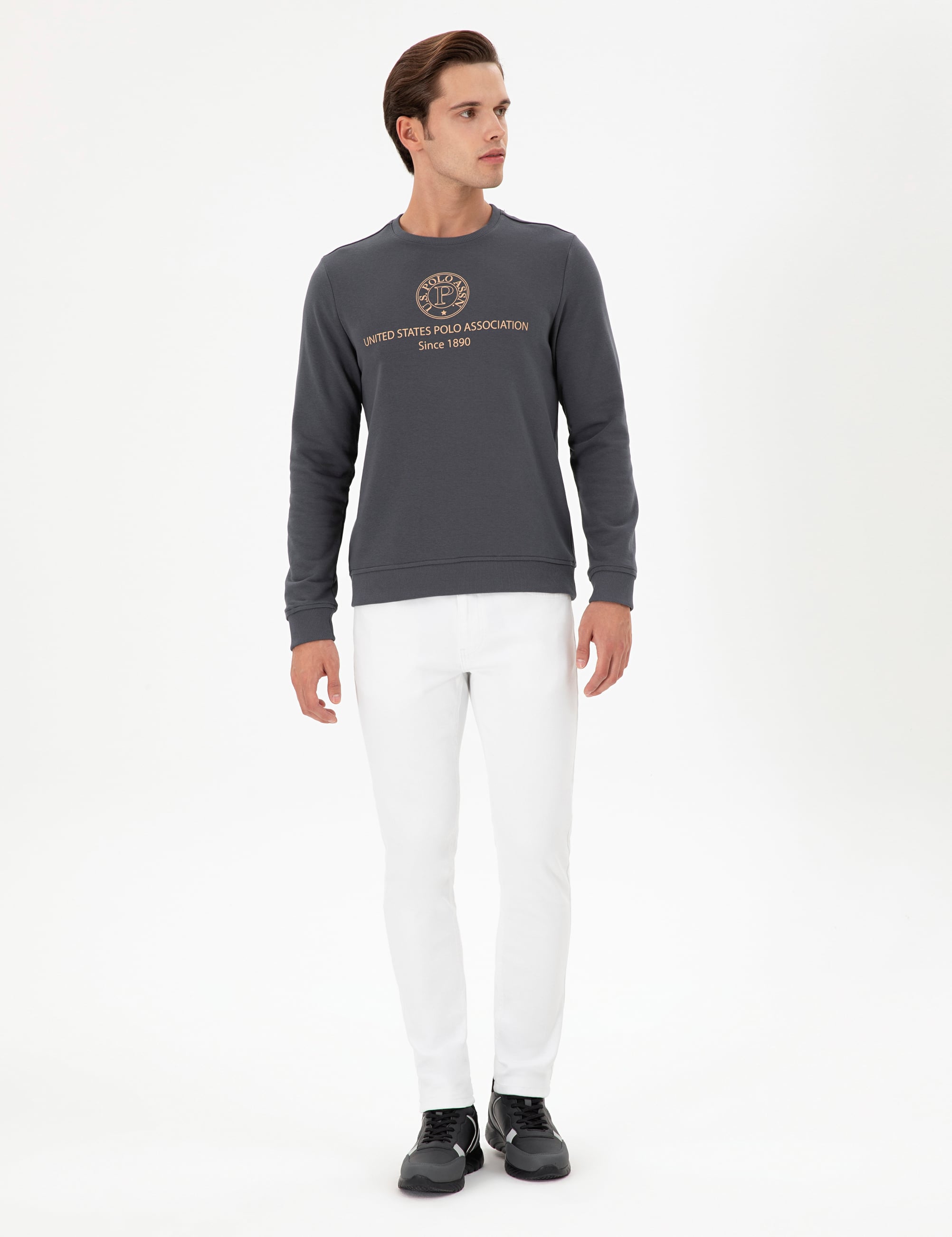 Erkek Regular Fit Bisiklet Yaka Antrasit Sweatshirt - Image 4