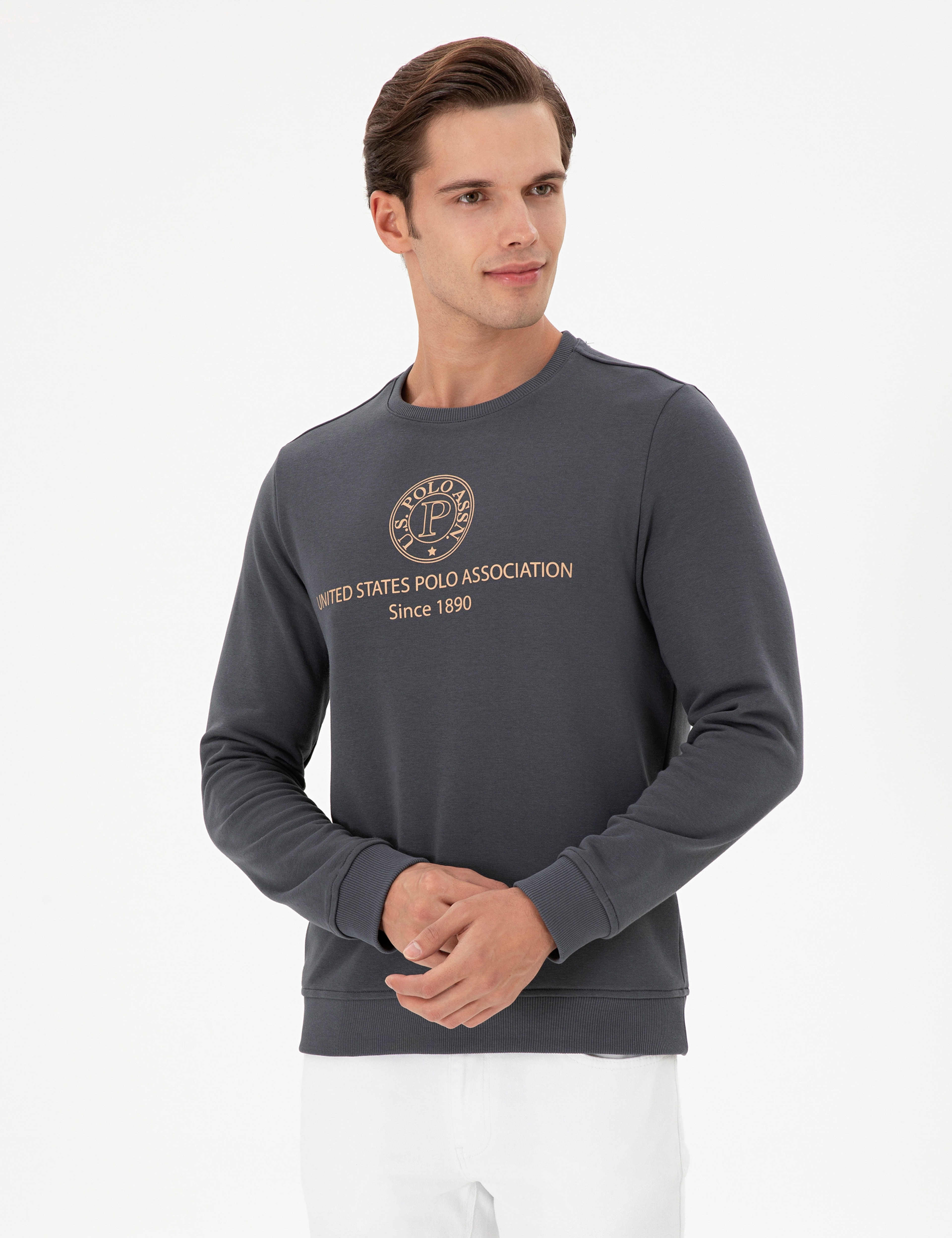 Erkek Regular Fit Bisiklet Yaka Antrasit Sweatshirt - Image 1