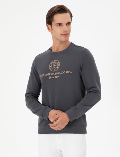 Erkek Regular Fit Bisiklet Yaka Antrasit Sweatshirt
