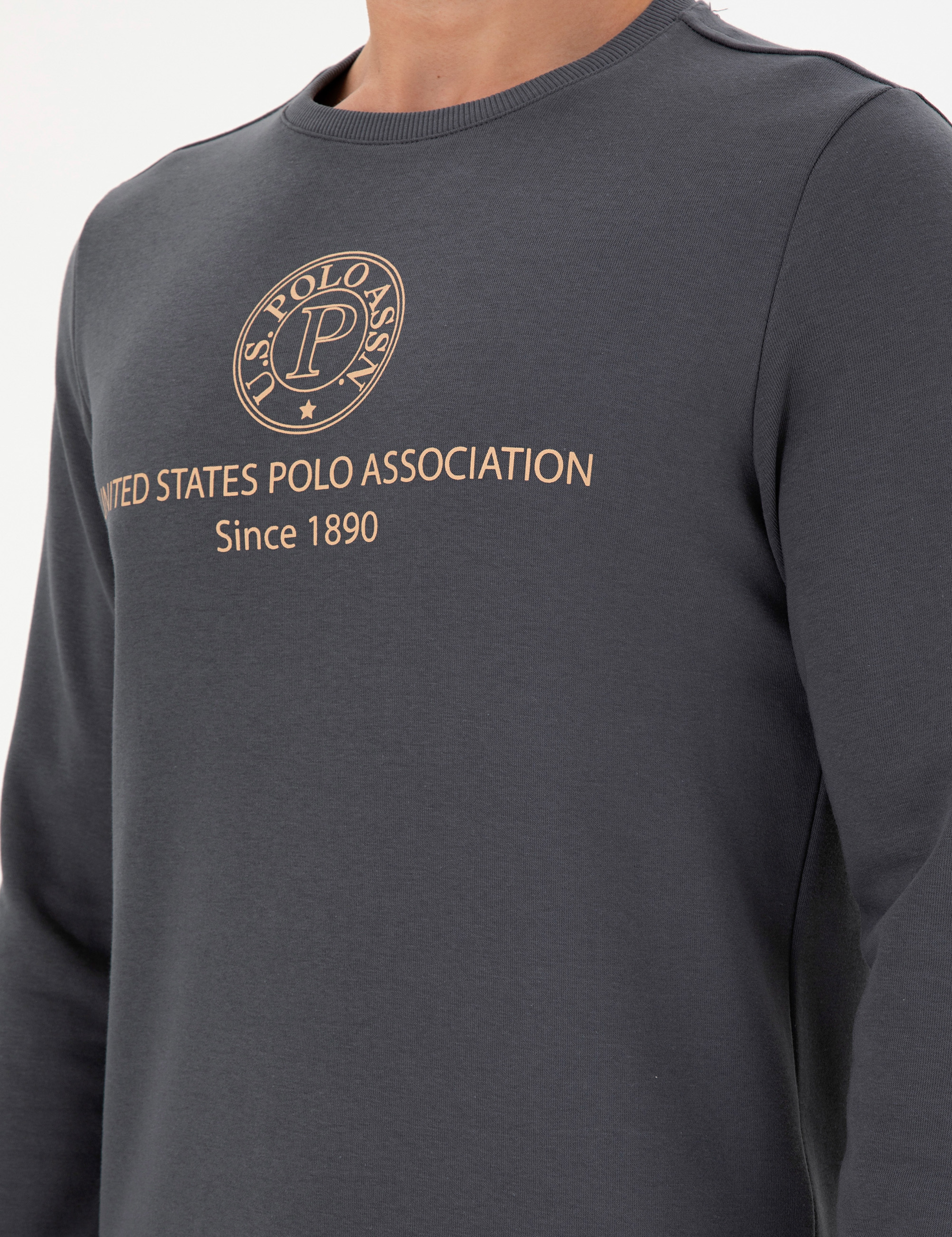 Erkek Regular Fit Bisiklet Yaka Antrasit Sweatshirt - Image 7