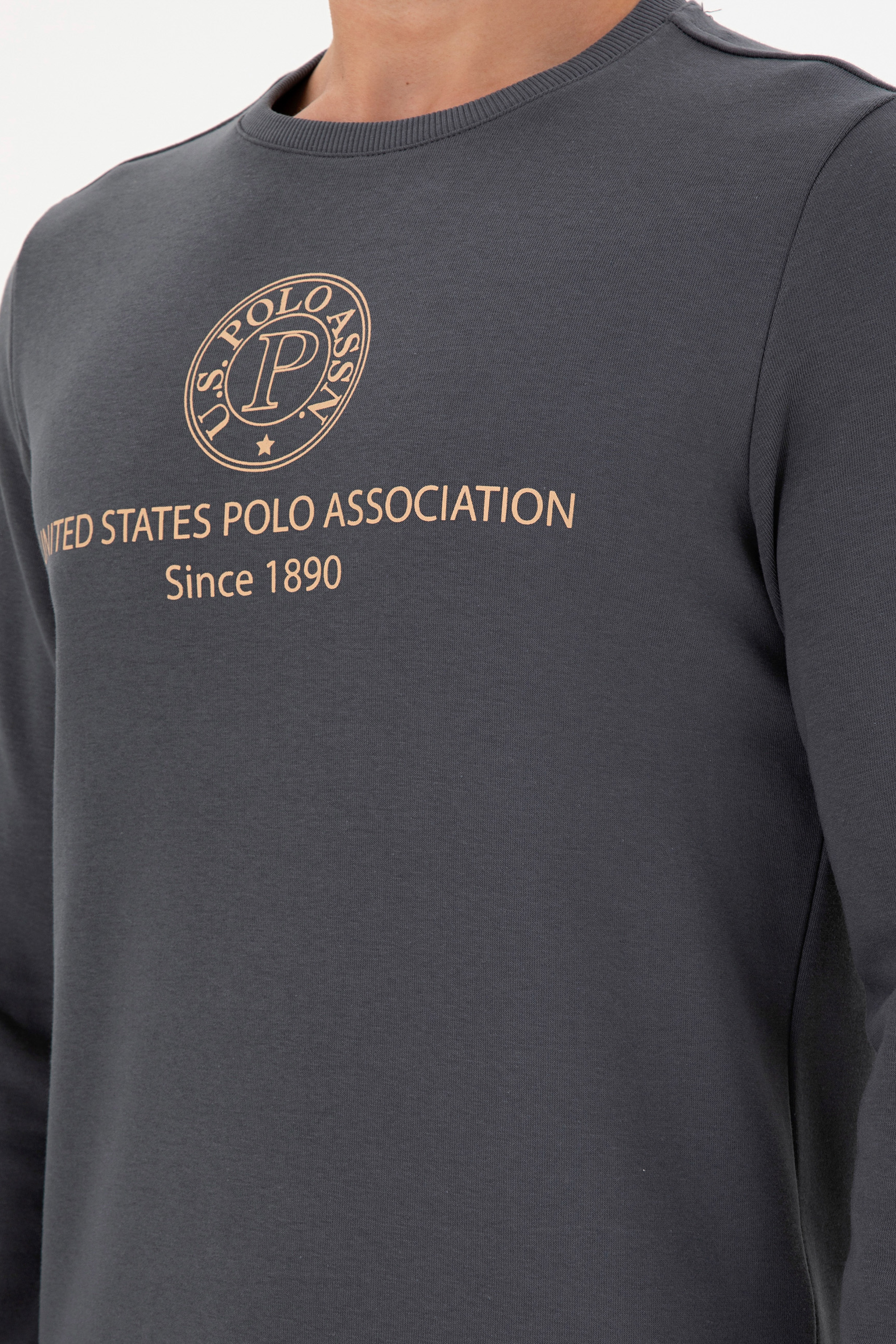 Erkek Regular Fit Bisiklet Yaka Antrasit Sweatshirt