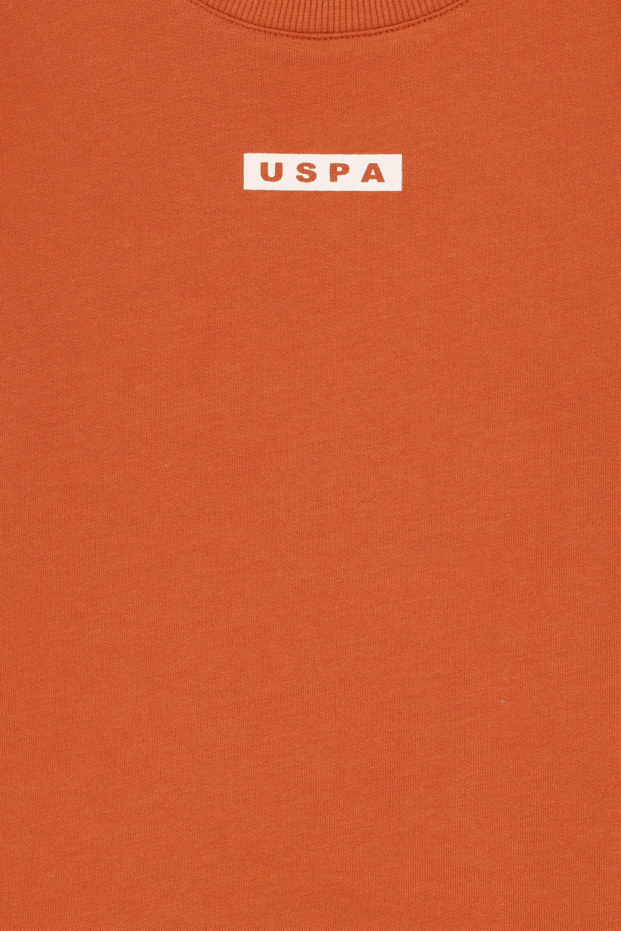 Erkek Çocuk Tarçın Bisiklet Yaka Sweatshirt - Image 3
