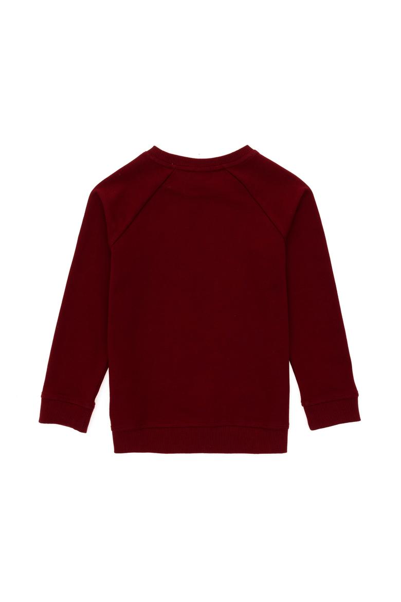 Erkek Çocuk Bordo Basic Bisiklet Yaka Sweatshirt - 50293633012