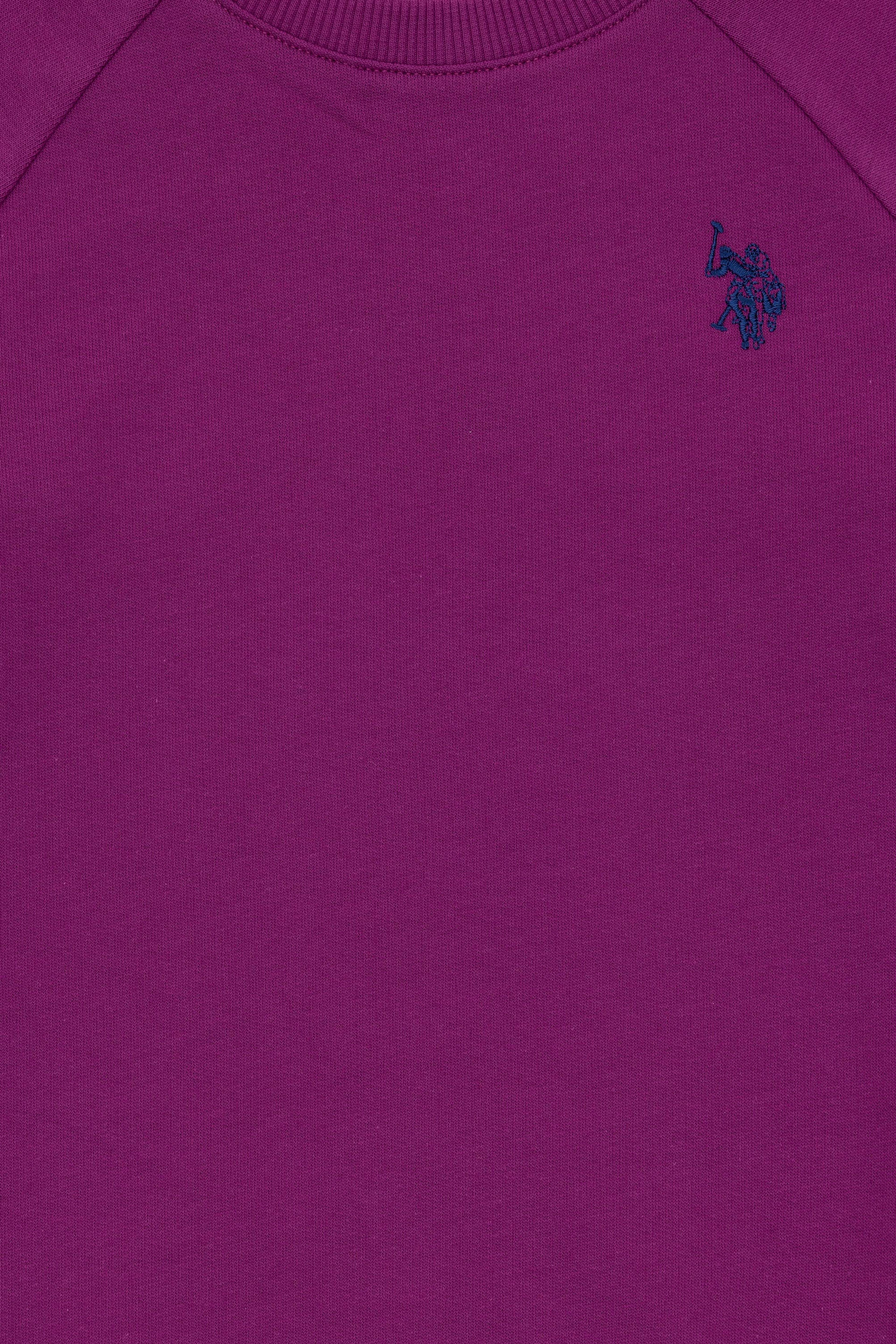 Erkek Çocuk Menekşe Basic Bisiklet Yaka Sweatshirt