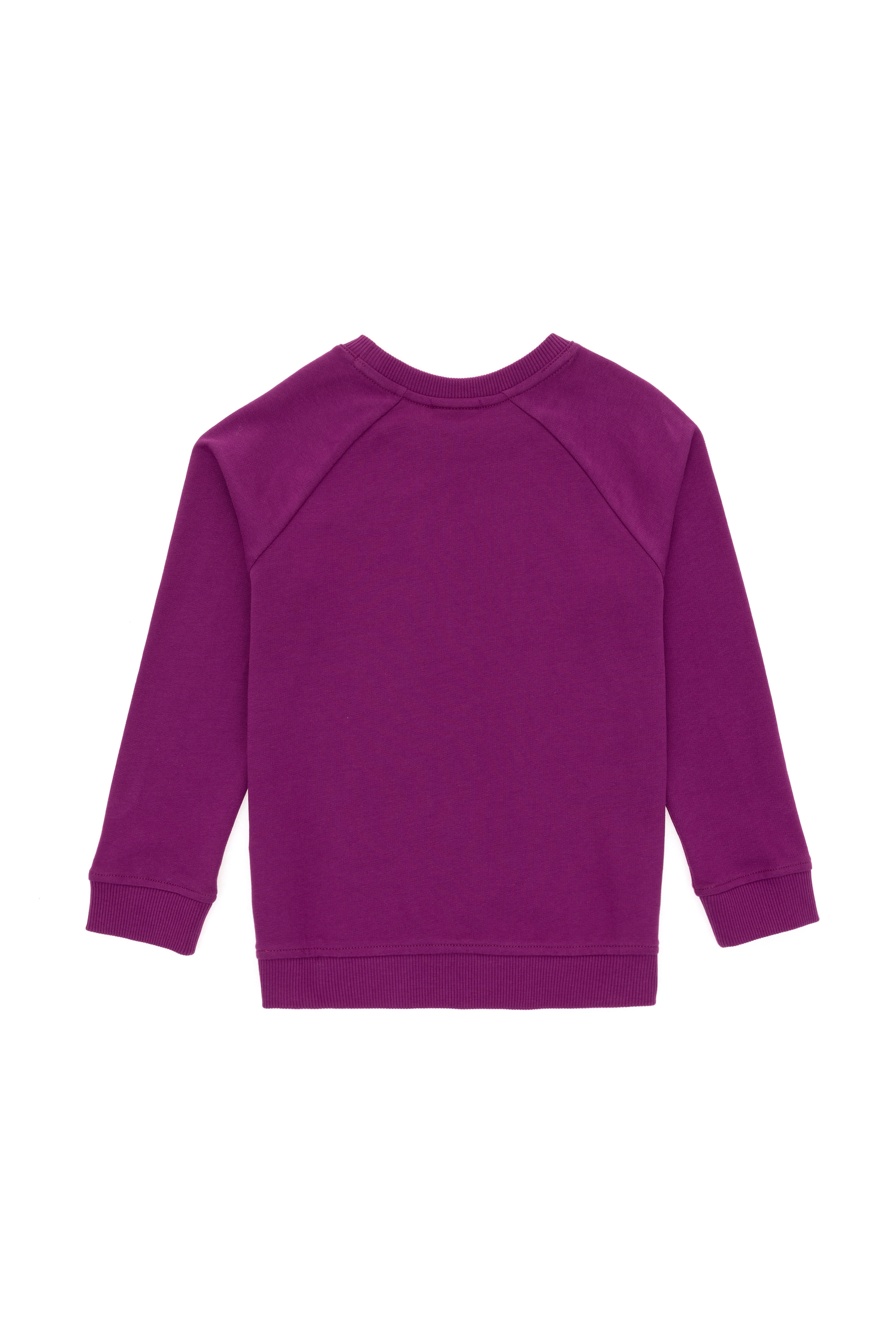 Erkek Çocuk Menekşe Basic Bisiklet Yaka Sweatshirt