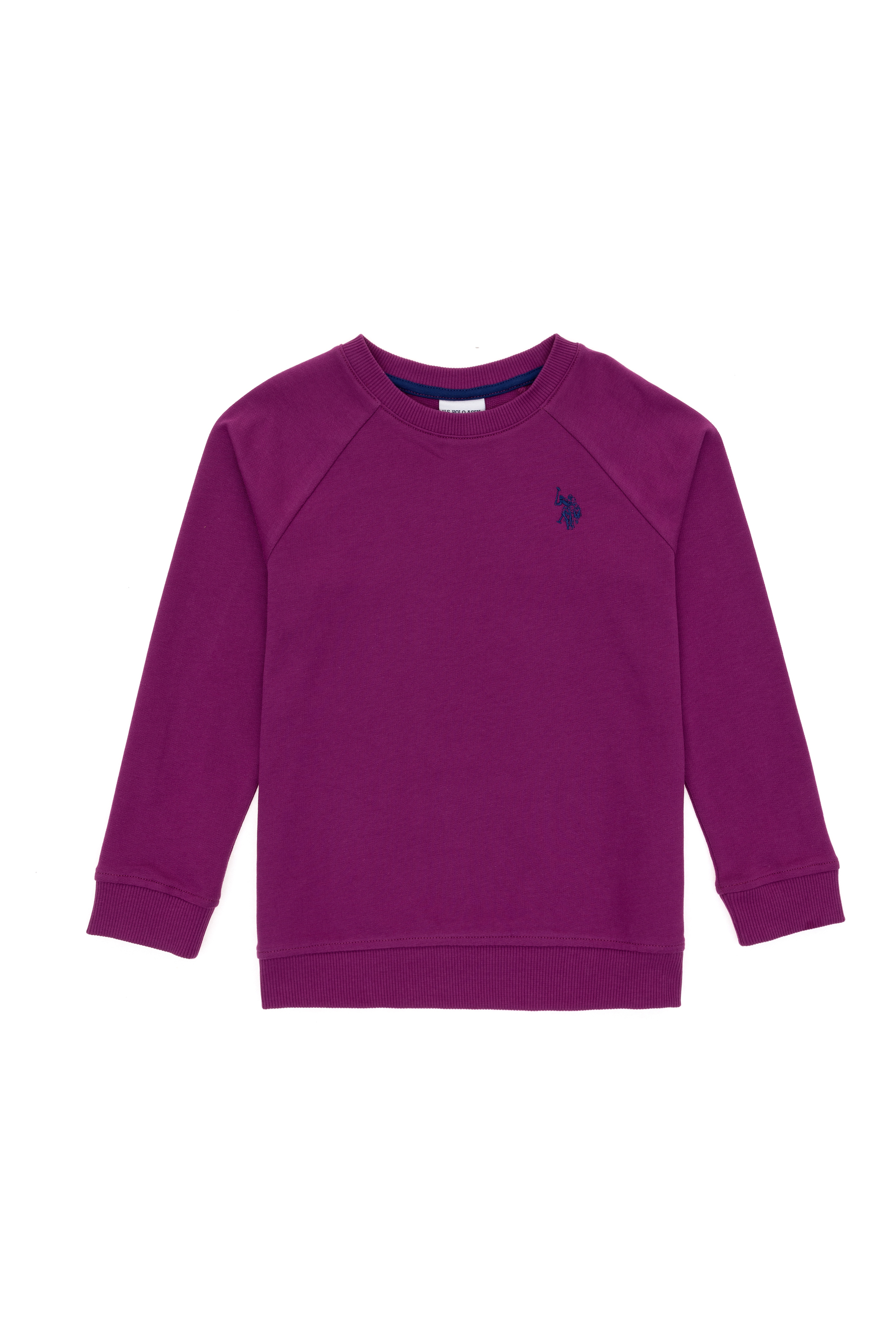 Erkek Çocuk Menekşe Basic Bisiklet Yaka Sweatshirt