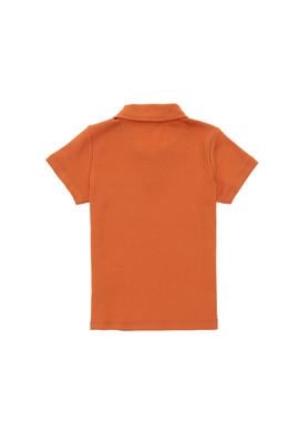 Erkek Çocuk Tarçın Polo Yaka Tişört - 50295438042