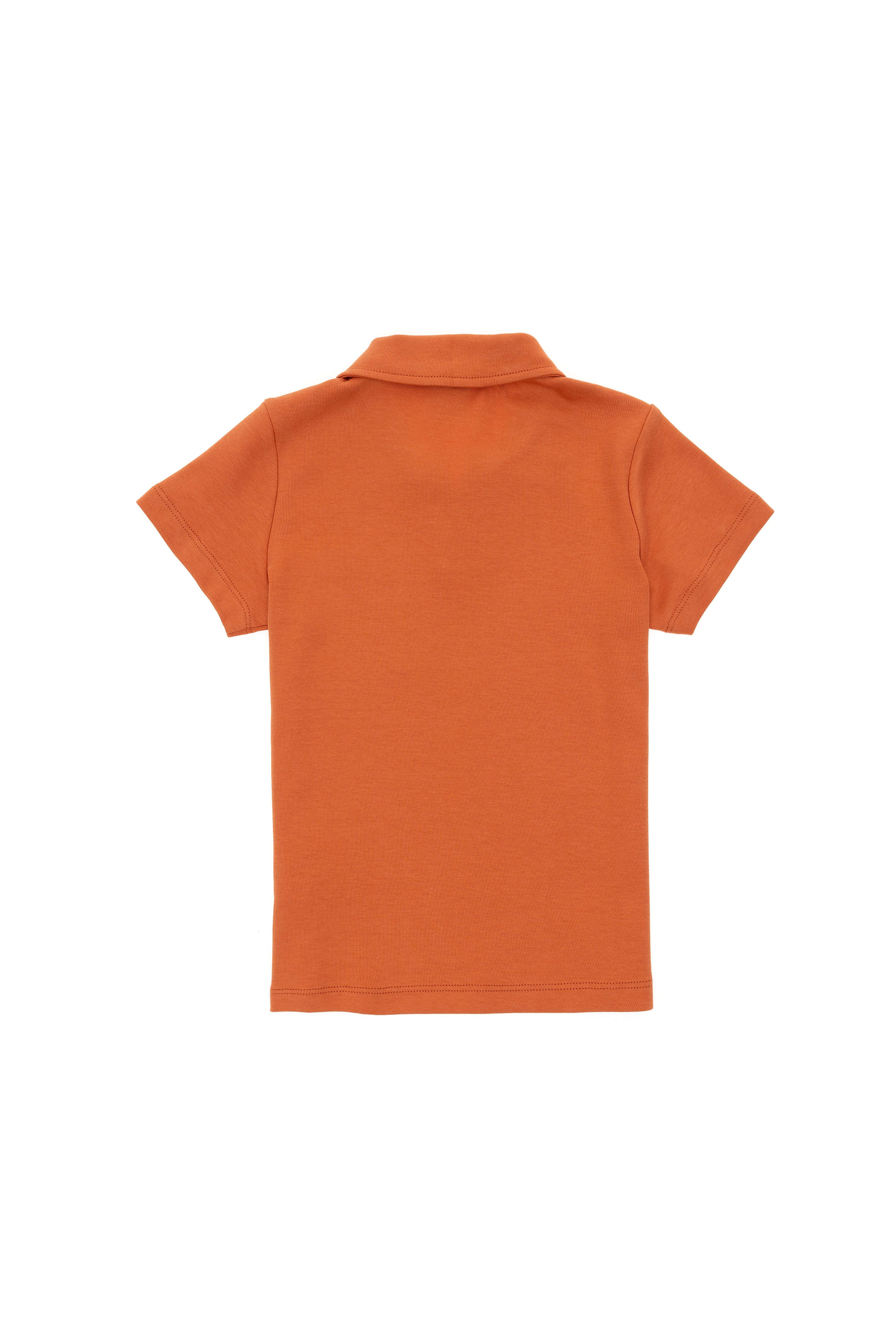 Erkek Çocuk Tarçın Polo Yaka Tişört - Image 2
