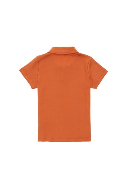 Erkek Çocuk Tarçın Polo Yaka Tişört