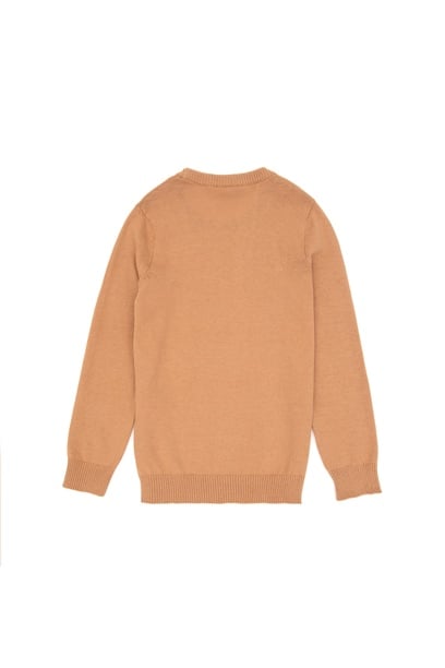 Erkek Çocuk Camel Basic Bisiklet Yaka Kazak