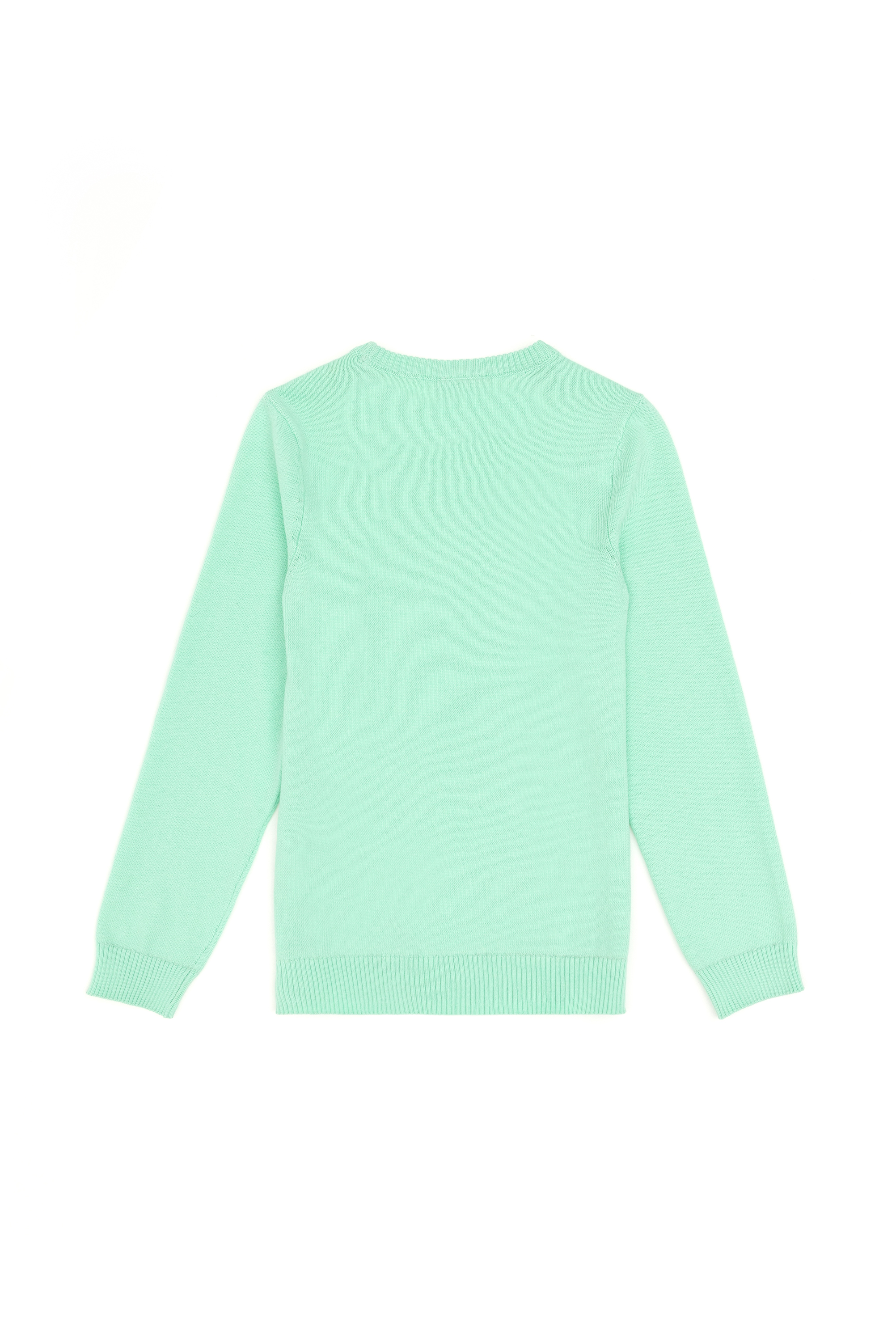 Erkek Çocuk Mint Basic Bisiklet Yaka Kazak - Image 2