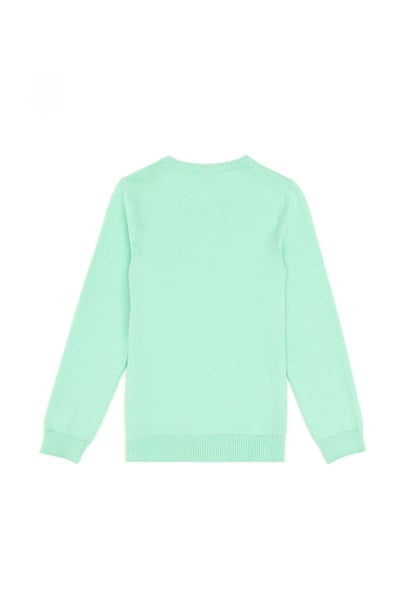 Erkek Çocuk Mint Basic Bisiklet Yaka Kazak