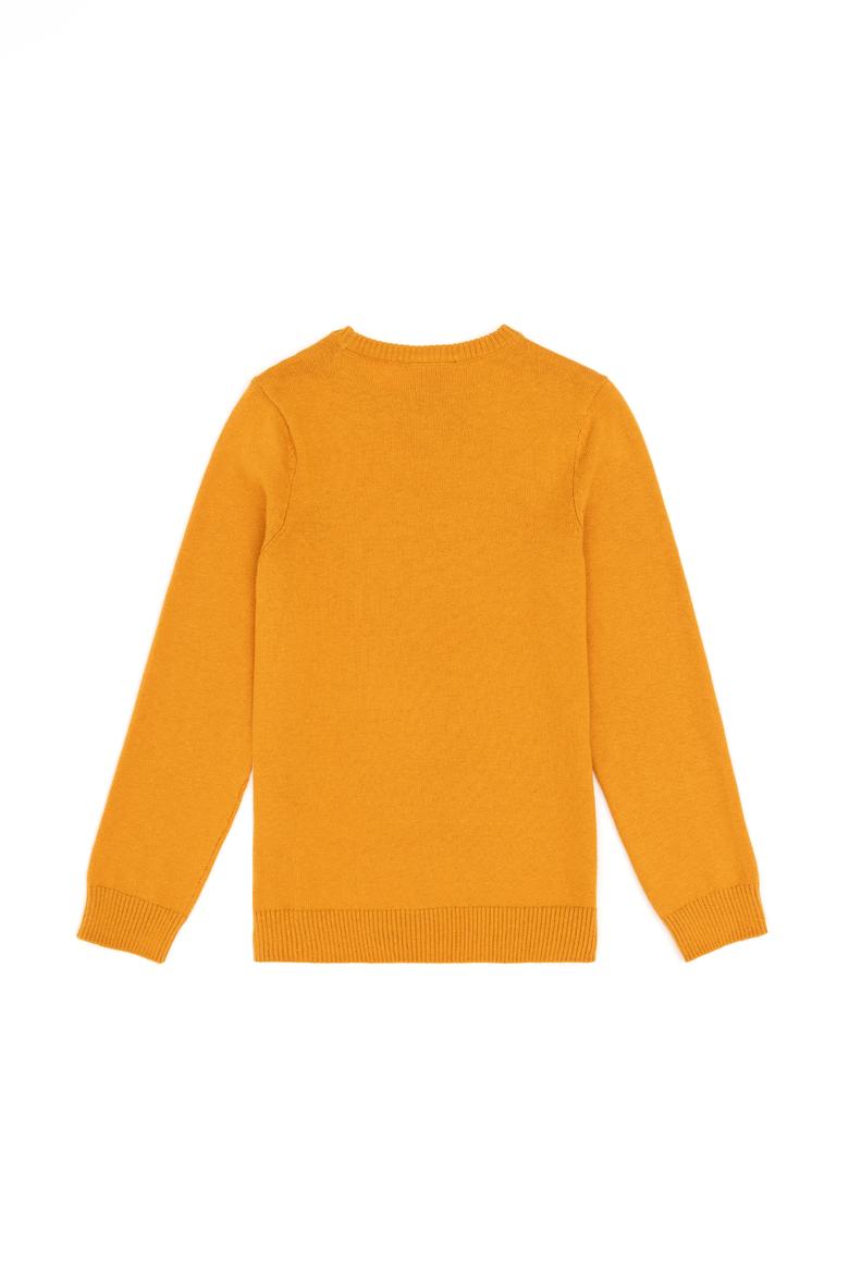 Erkek Çocuk Hardal Basic Bisiklet Yaka Kazak - 50294188052