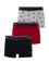 Erkek 3'lü Boxer Takımı