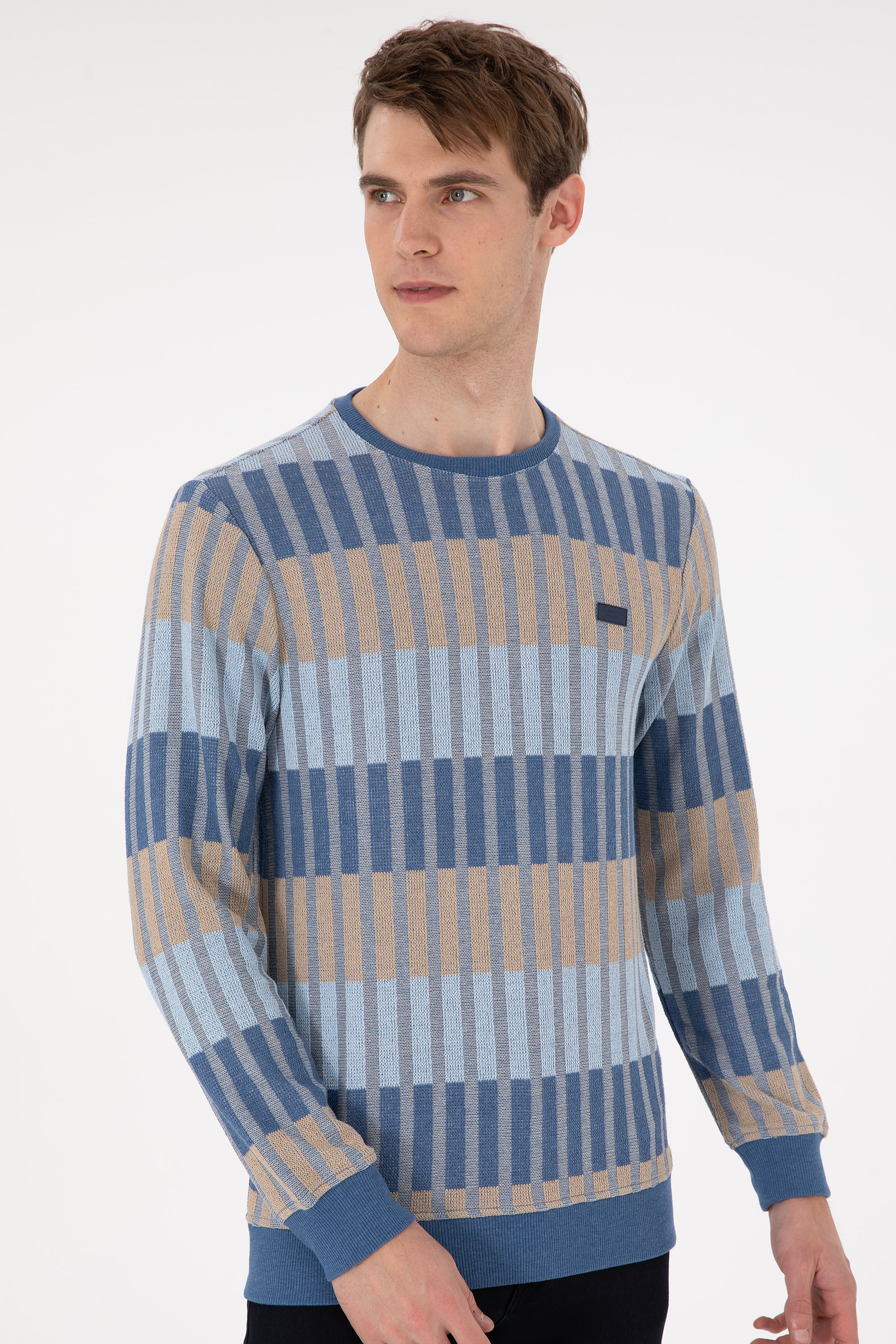 Erkek Regular Fit Bisiklet Yaka Krem Sweatshirt - Image 3