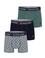 Erkek 3'lü Boxer Takımı