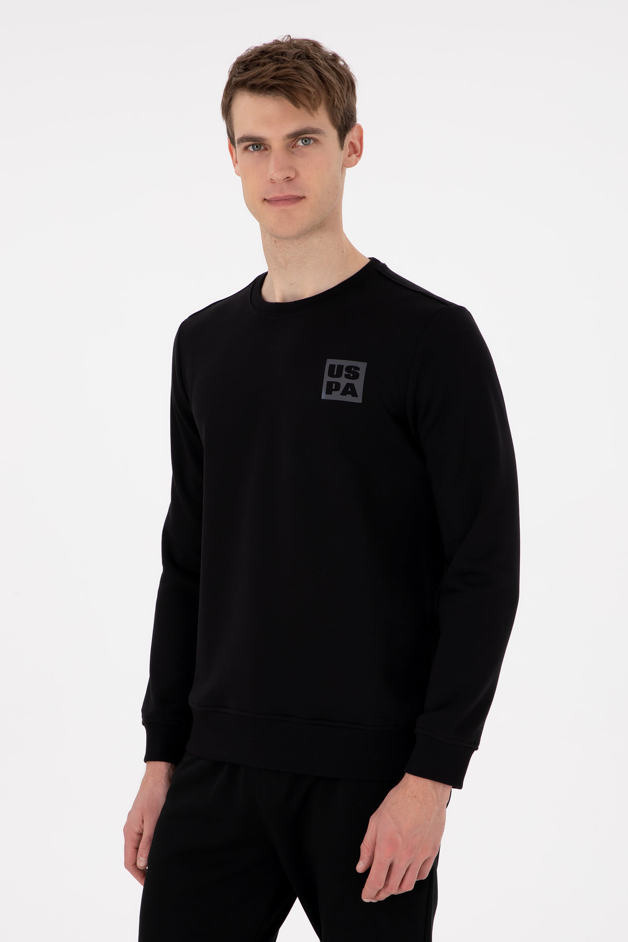 Erkek Regular Fit Bisiklet Yaka Siyah Sweatshirt - Image 1