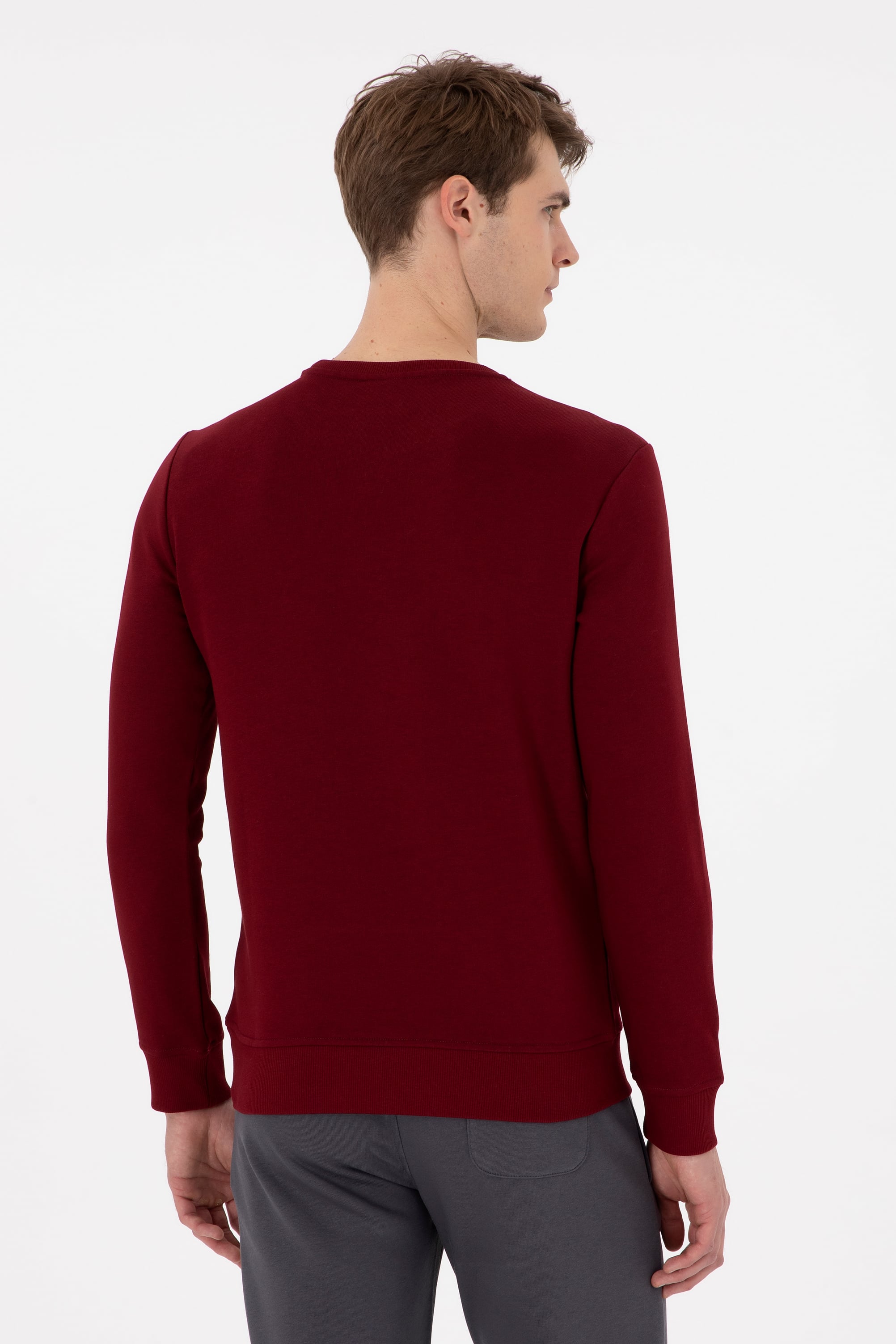 Erkek Regular Fit Bisiklet Yaka Bordo Sweatshirt - Image 5