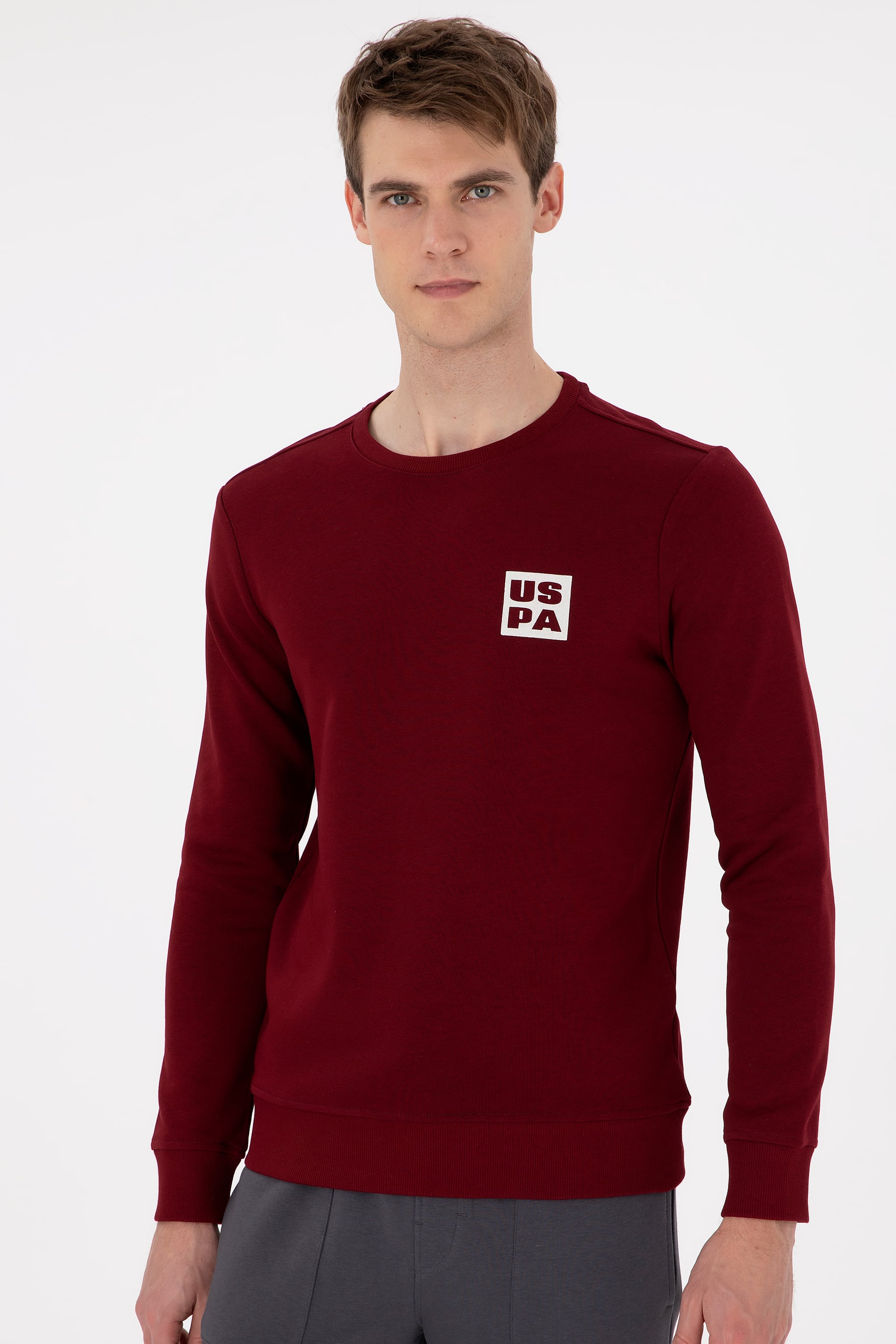 Erkek Regular Fit Bisiklet Yaka Bordo Sweatshirt - Image 3