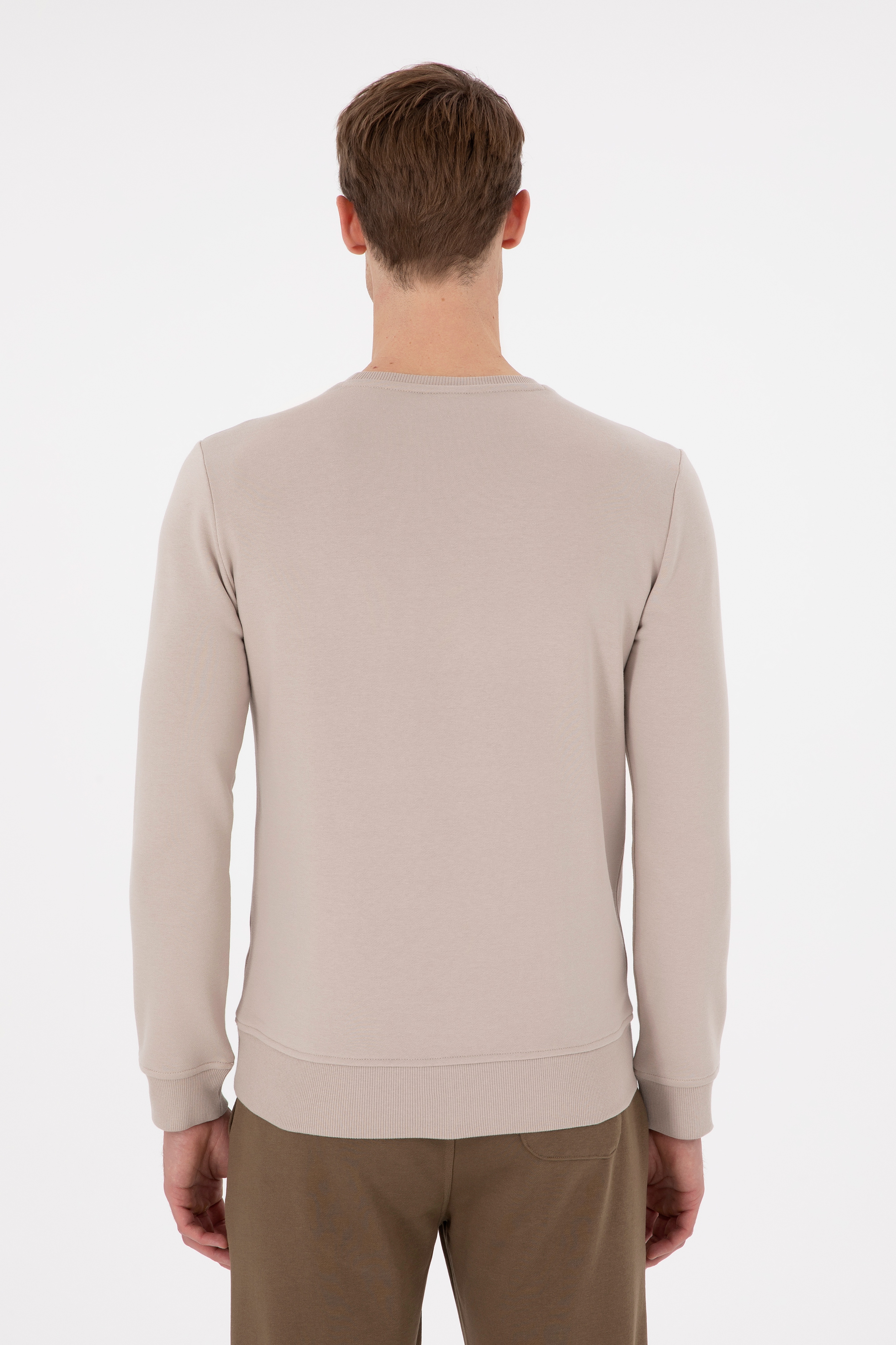 Erkek Regular Fit Bisiklet Yaka Taş Sweatshirt - Image 5