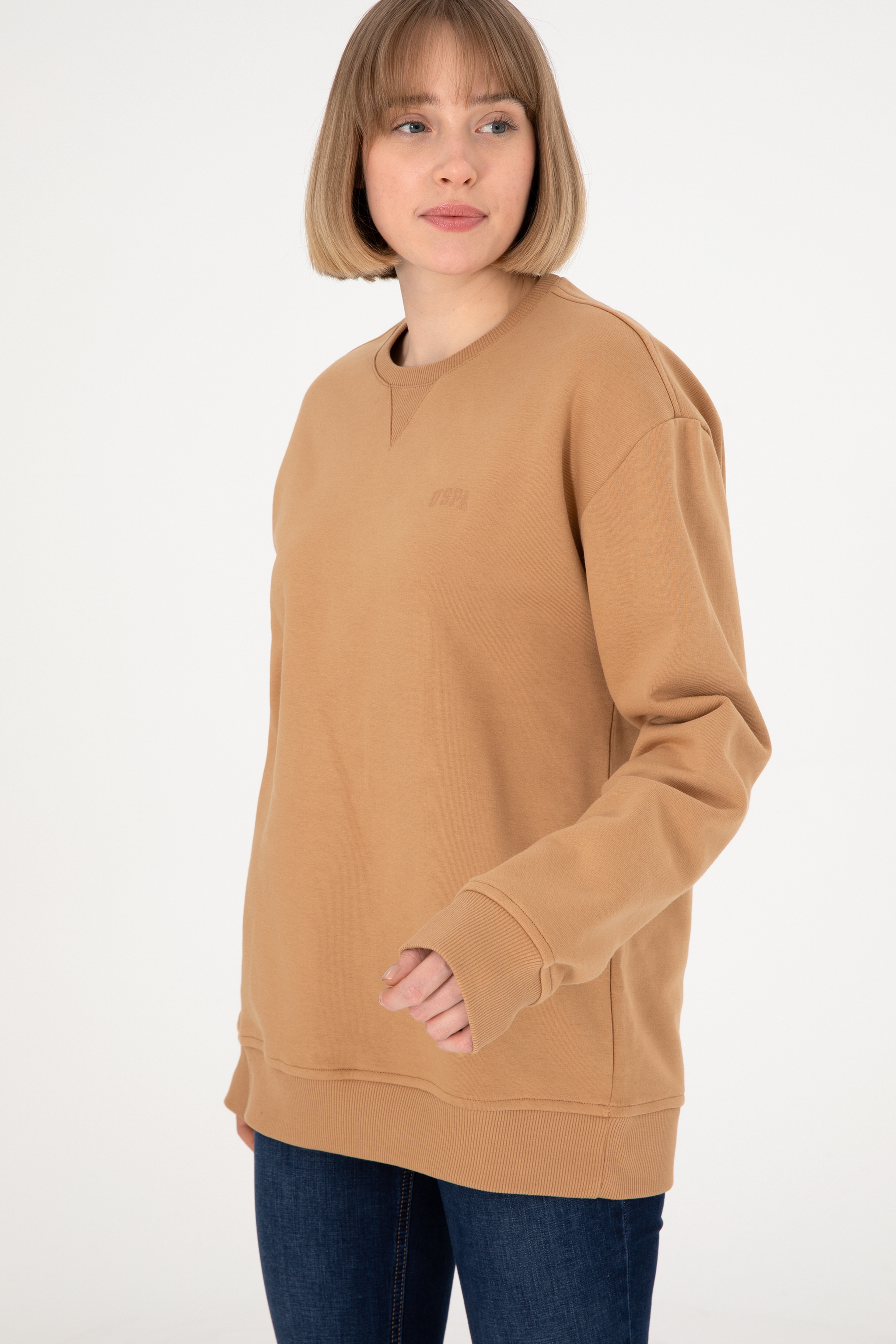 Erkek Bisiklet Yaka Camel Basic Şardonlu Sweatshirt