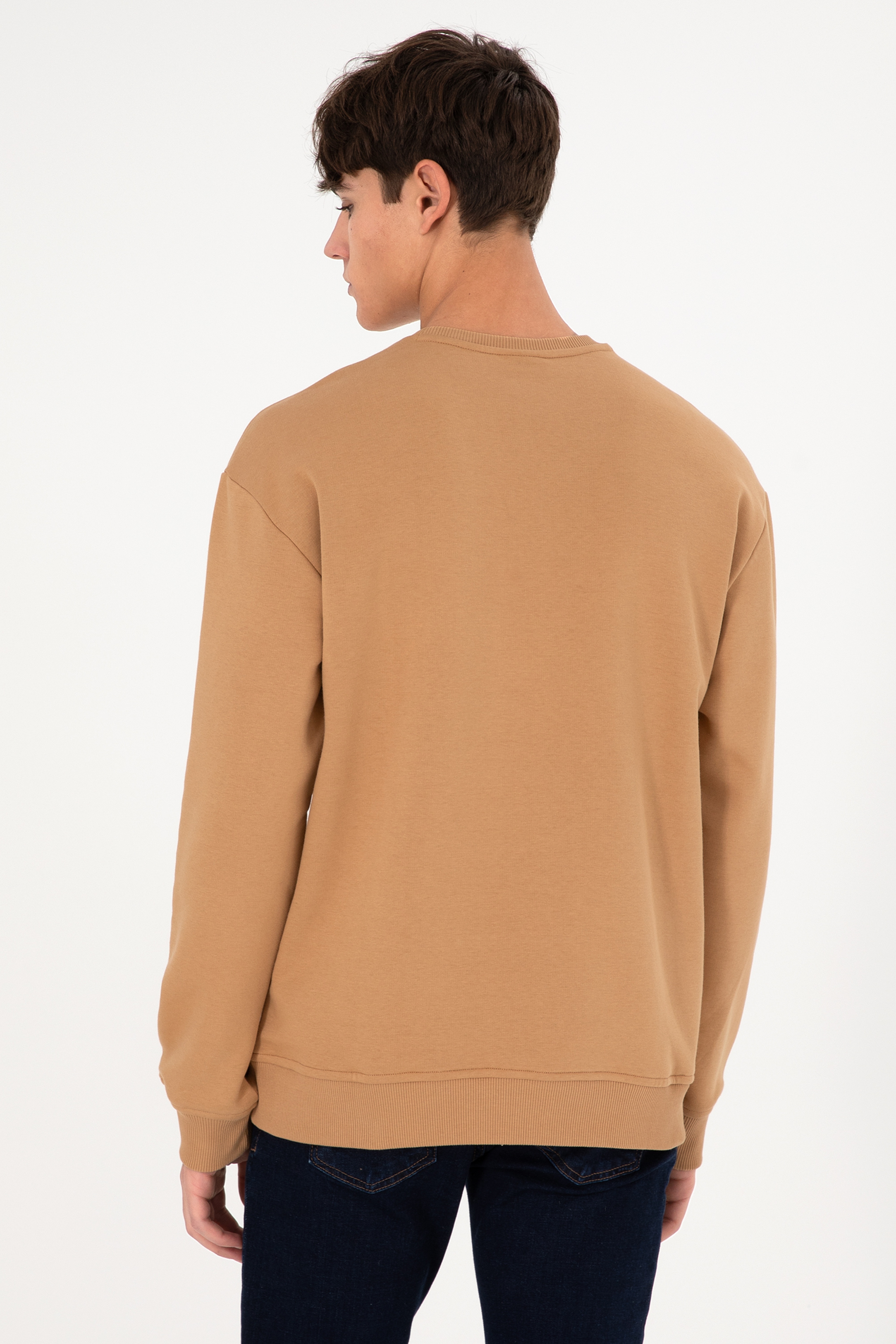 Erkek Bisiklet Yaka Camel Basic Şardonlu Sweatshirt - Image 6