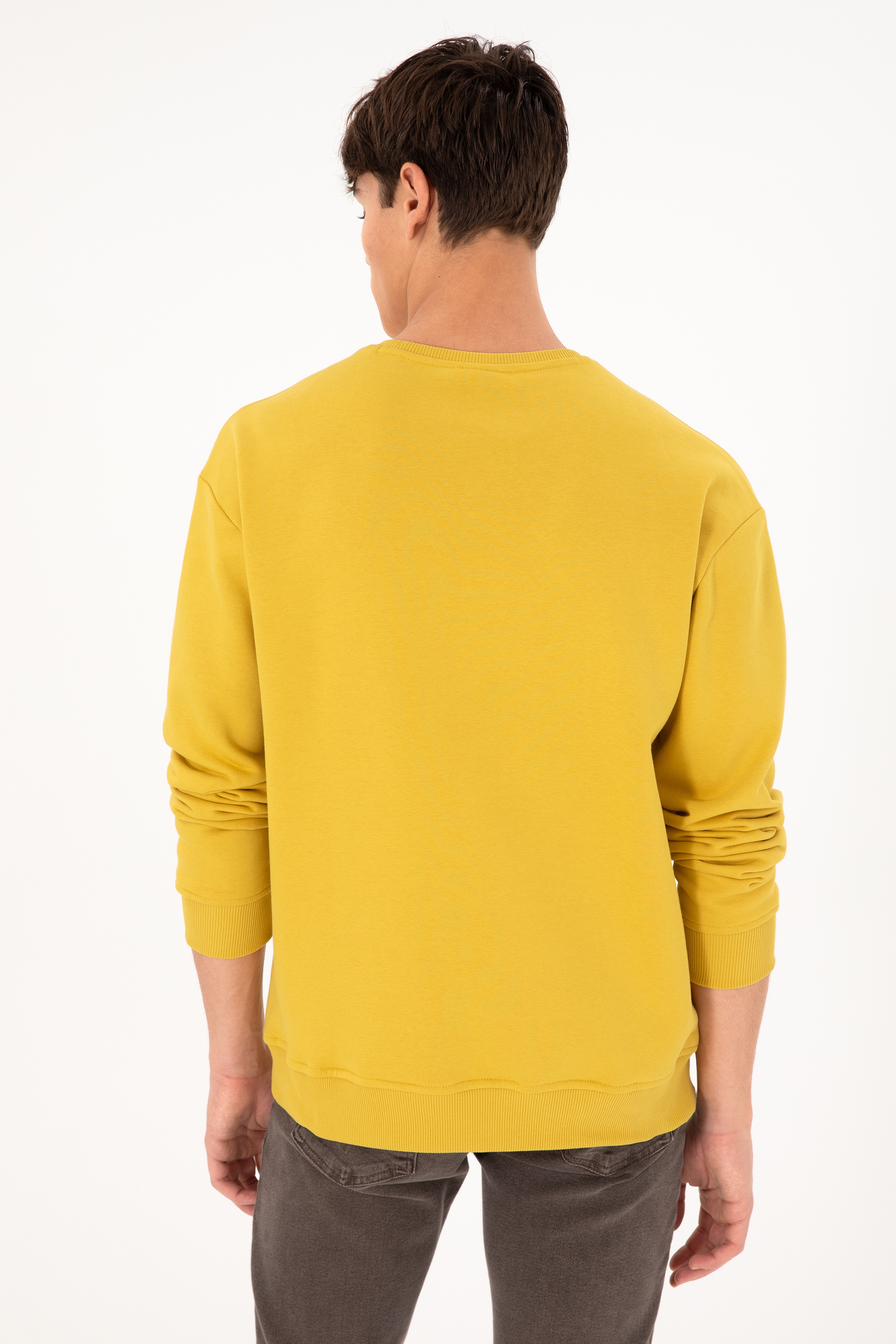 Erkek Bisiklet Yaka Sarı Basic Şardonlu Sweatshirt - Image 6