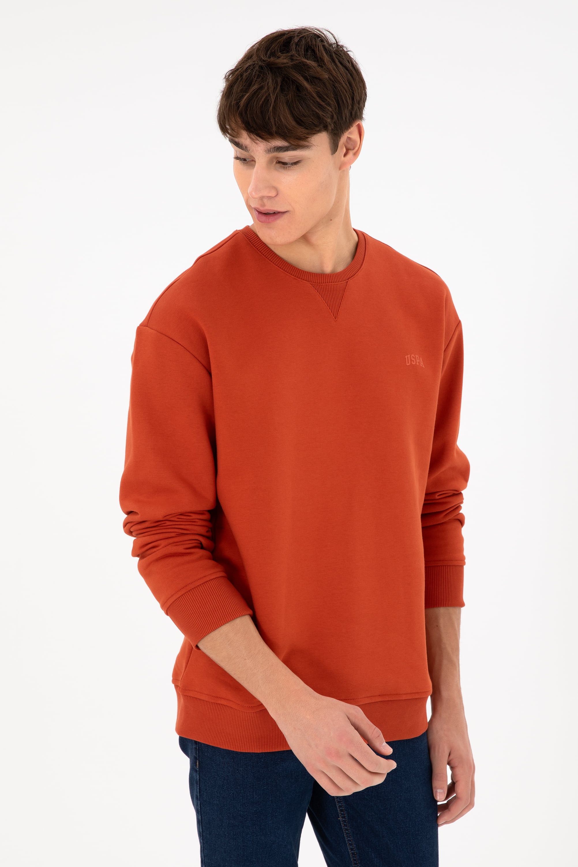 Erkek Bisiklet Yaka Kiremit Basic Şardonlu Sweatshirt - Image 5