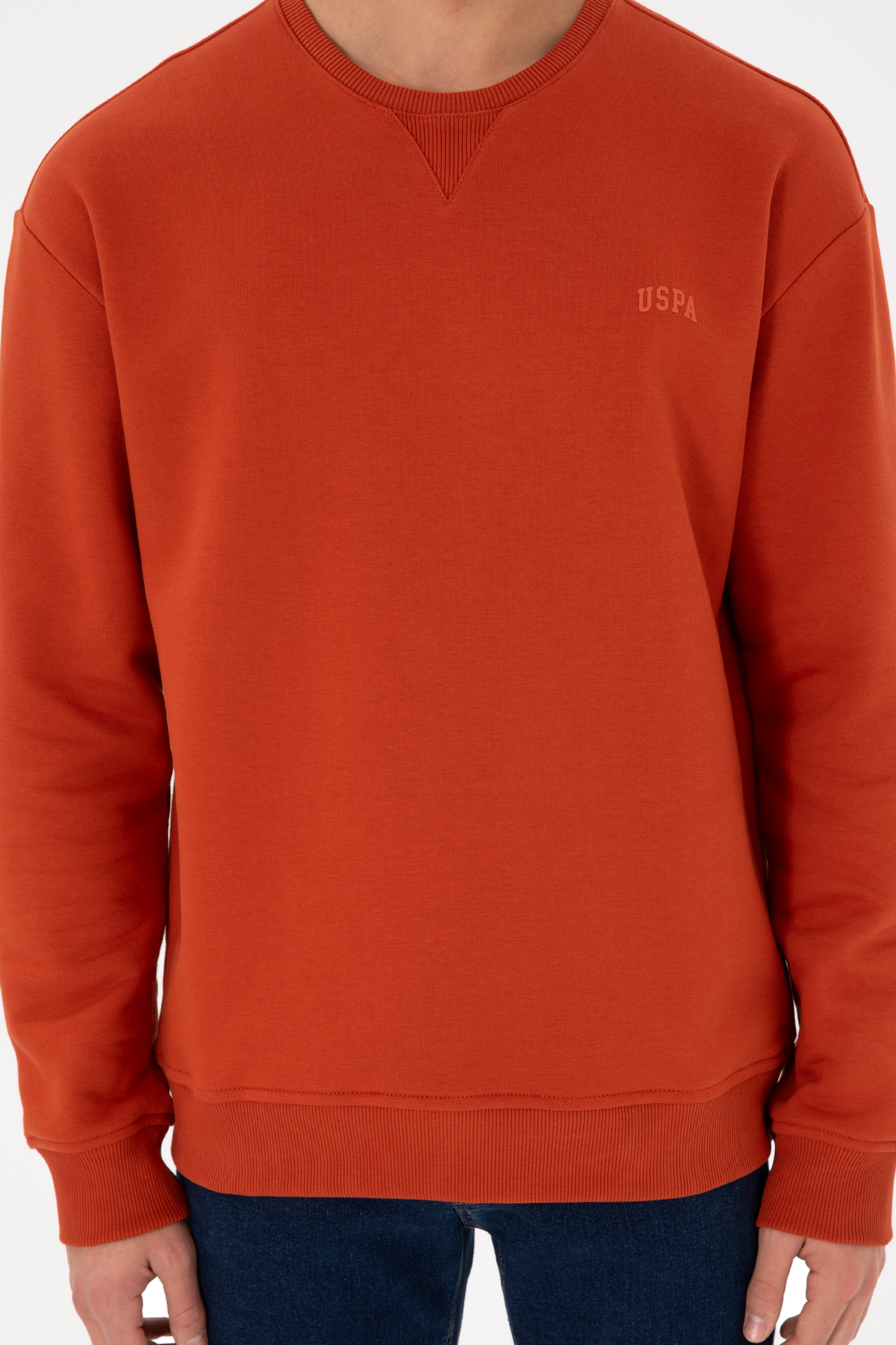 Erkek Bisiklet Yaka Kiremit Basic Şardonlu Sweatshirt - Image 7