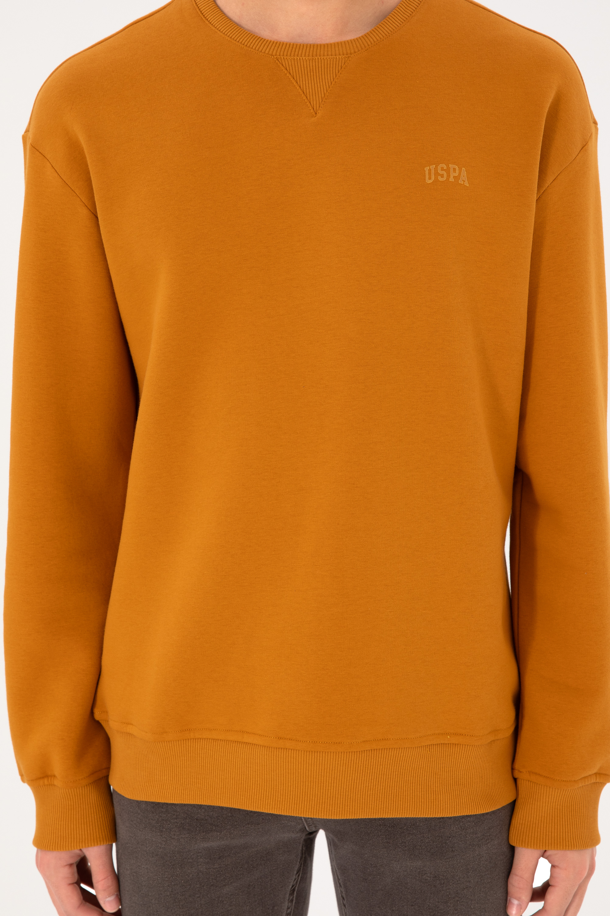 Erkek Bisiklet Yaka Hardal Basic Şardonlu Sweatshirt - Image 7