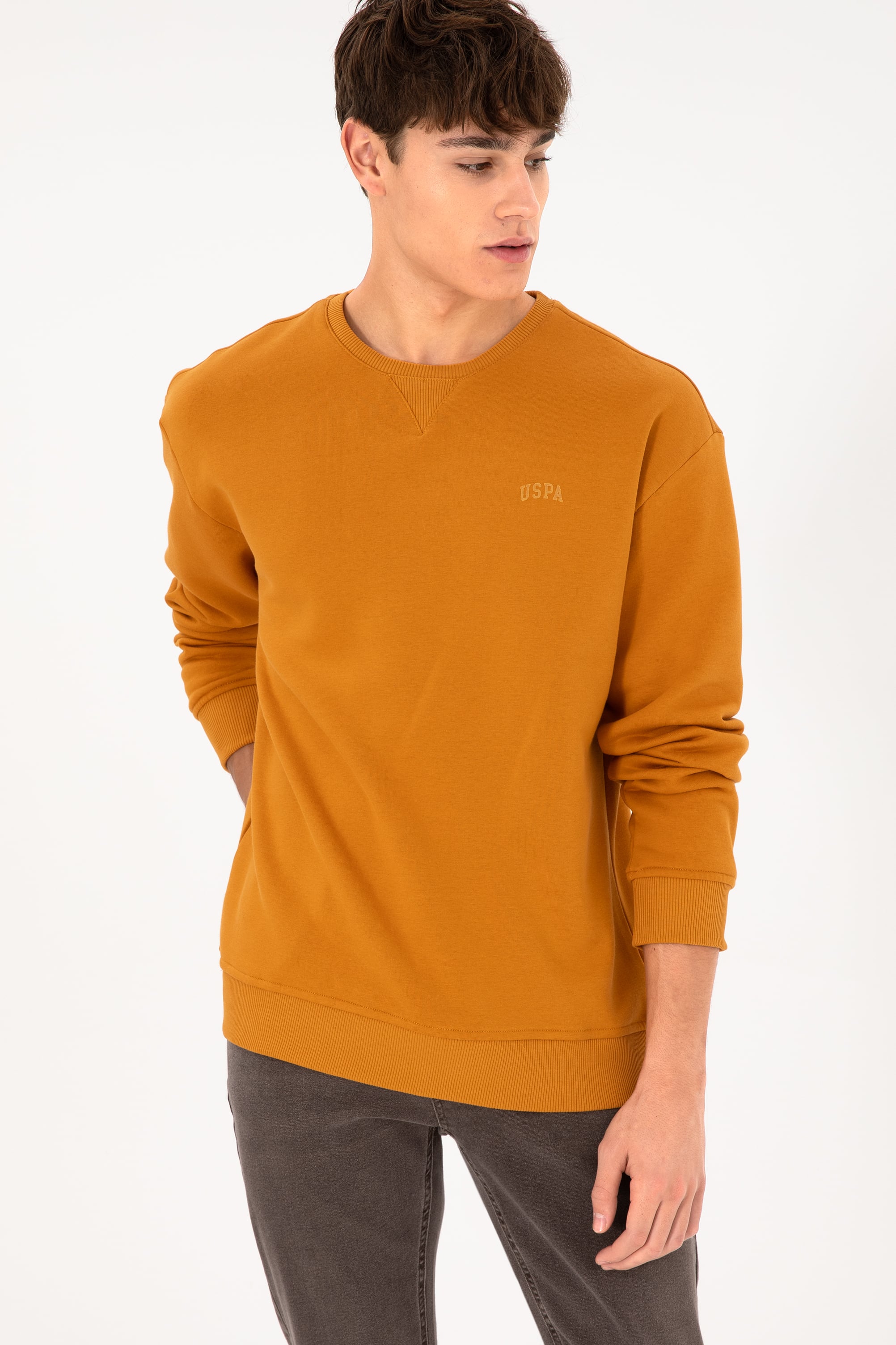 Erkek Bisiklet Yaka Hardal Basic Şardonlu Sweatshirt