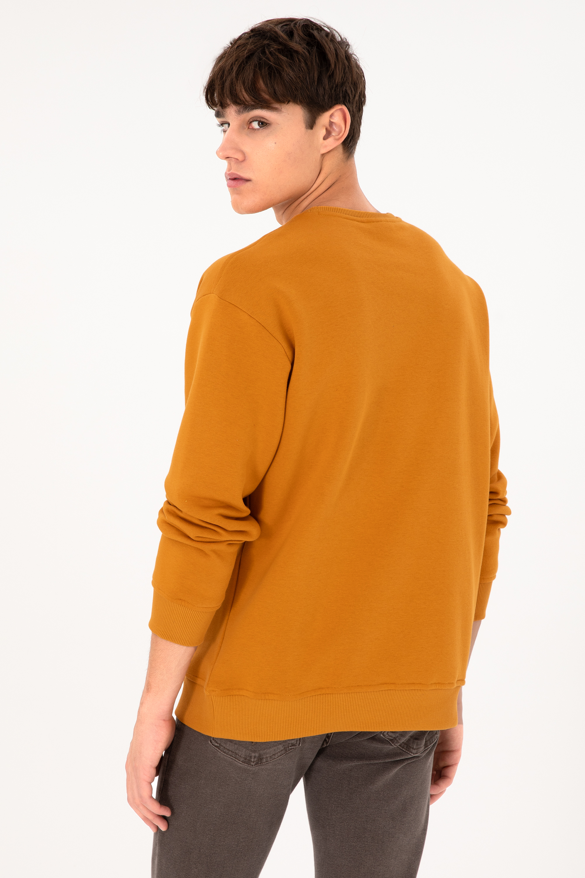Erkek Bisiklet Yaka Hardal Basic Şardonlu Sweatshirt - Image 6