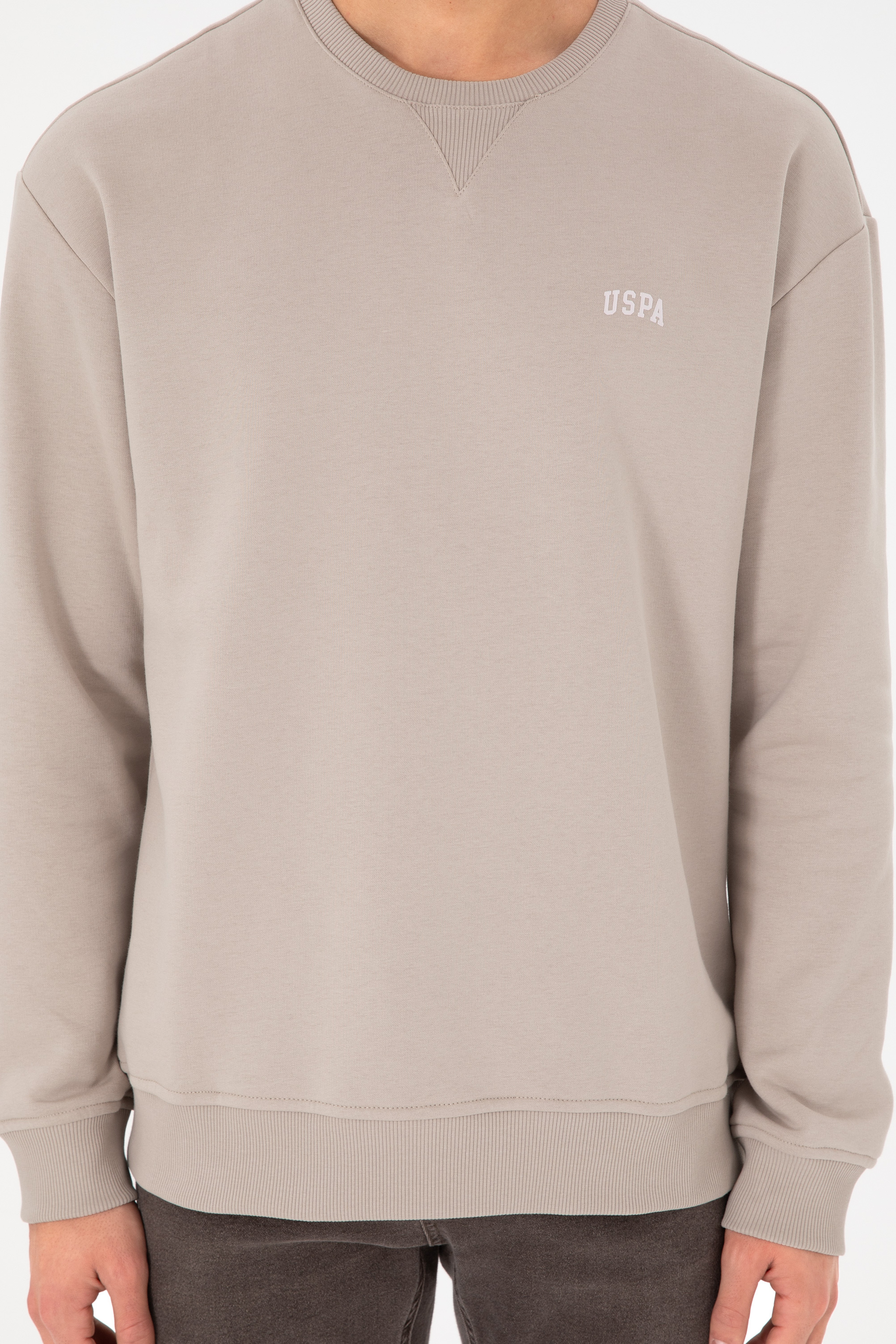 Erkek Bisiklet Yaka Taş Basic Şardonlu Sweatshirt