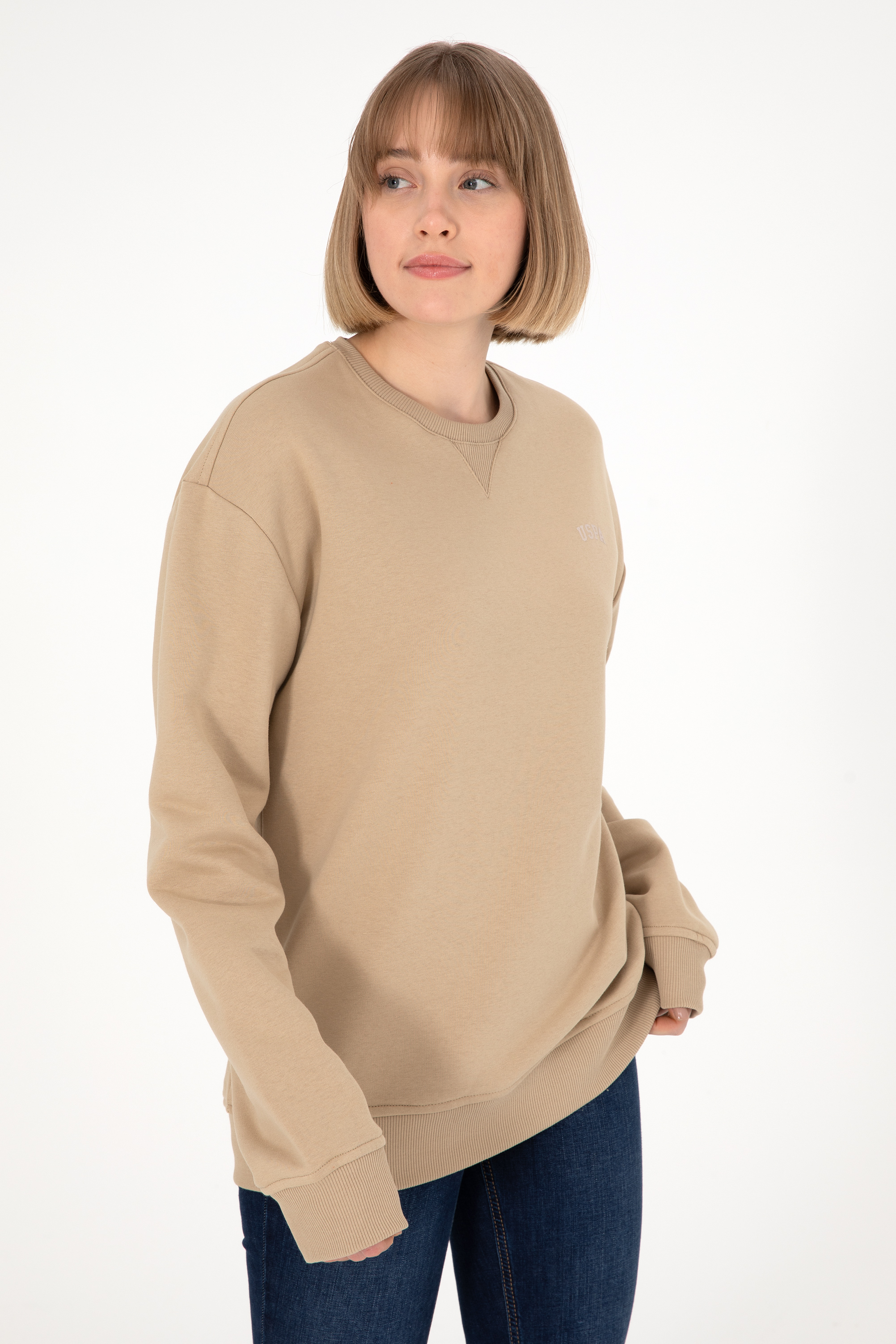 Erkek Bisiklet Yaka Kum Basic Şardonlu Sweatshirt - Image 3