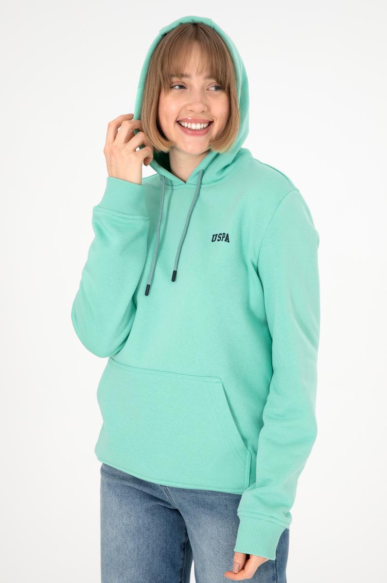 Erkek Kapüşonlu Mint Basic Şardonlu Sweatshirt